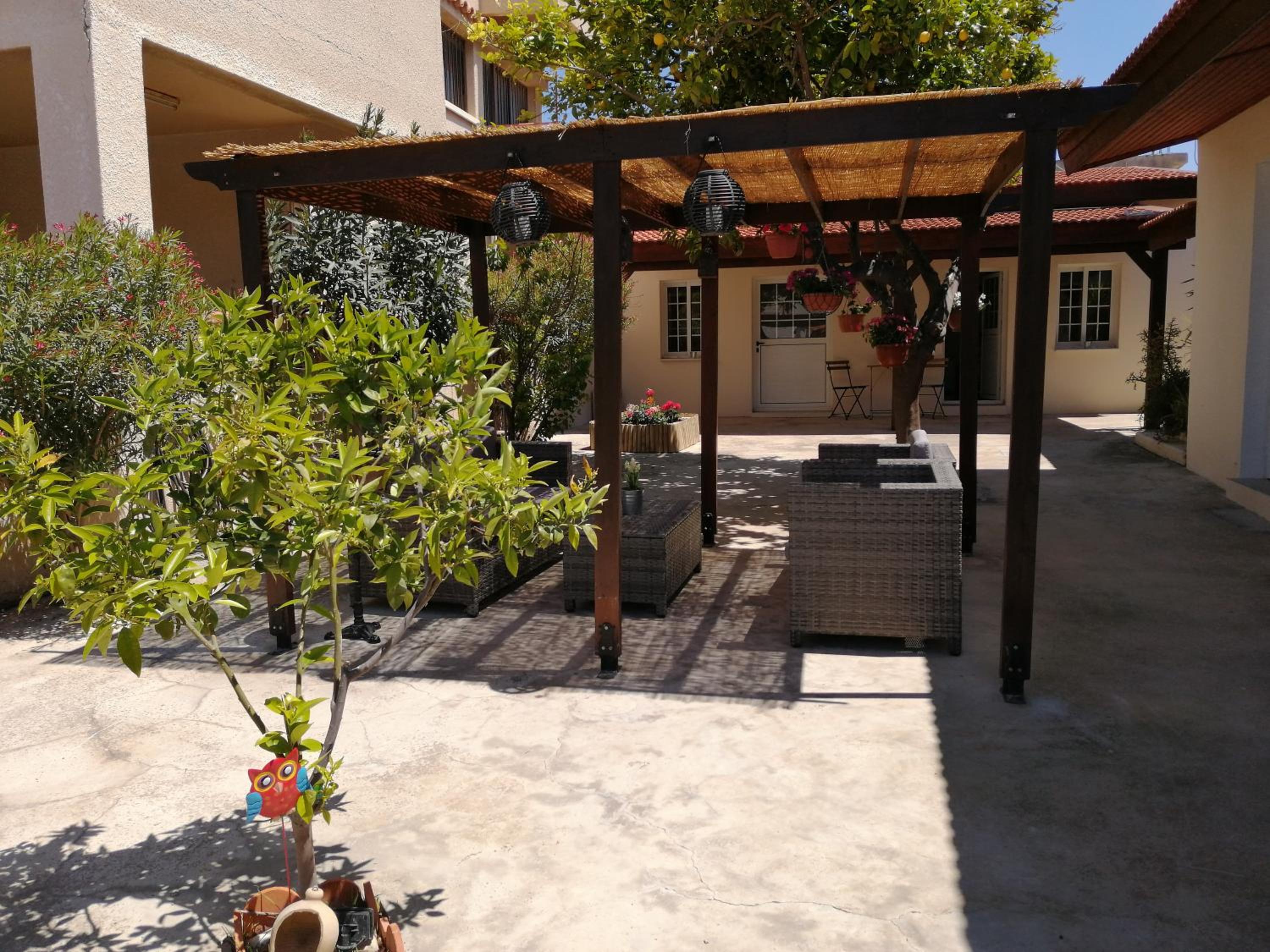 Lemon Tree Courtyard
