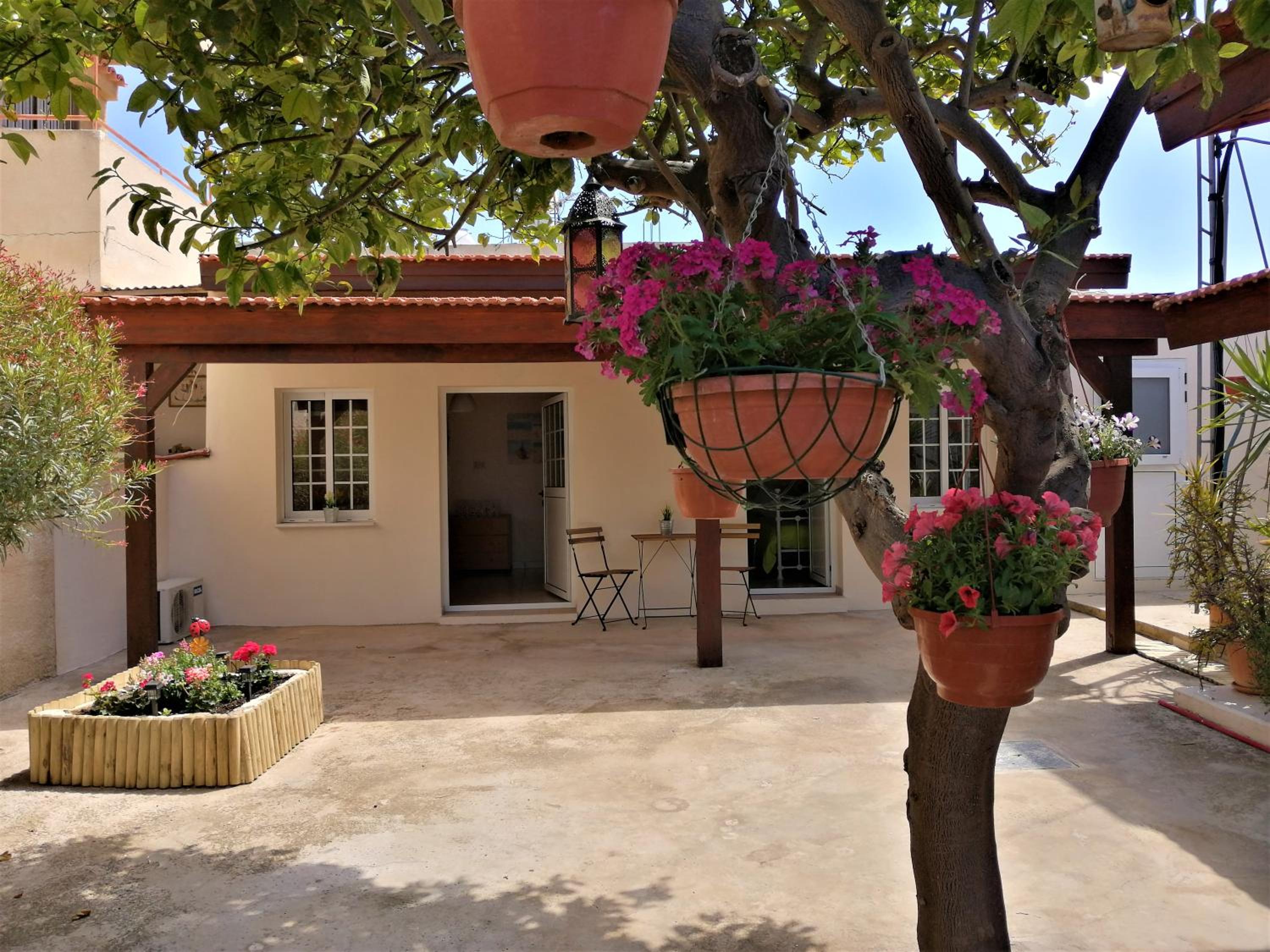 Lemon Tree Courtyard