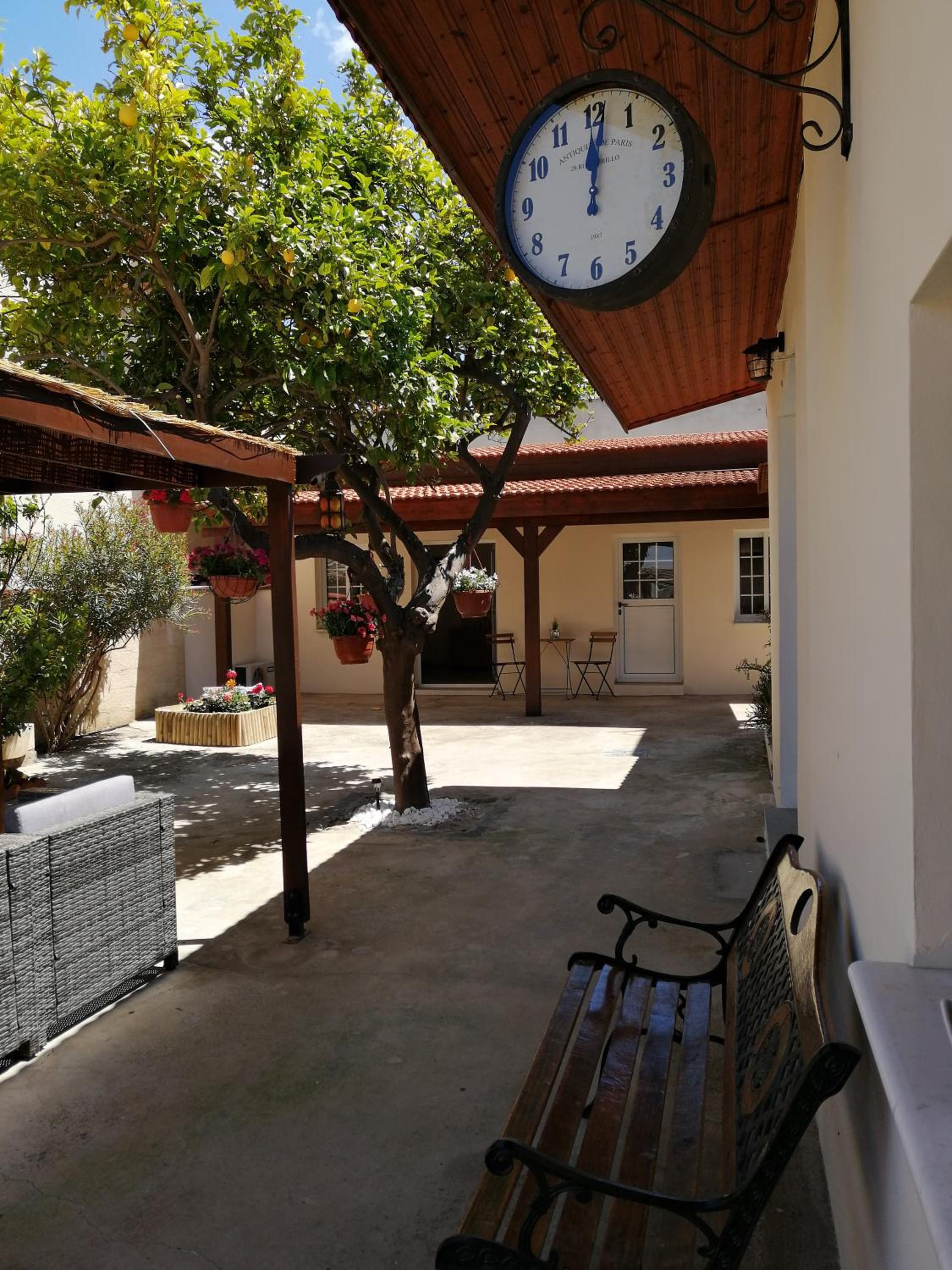 Lemon Tree Courtyard