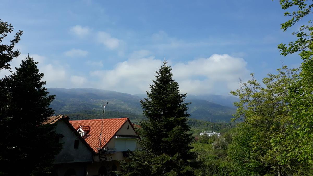 CHRISTOS Apartments photo 4