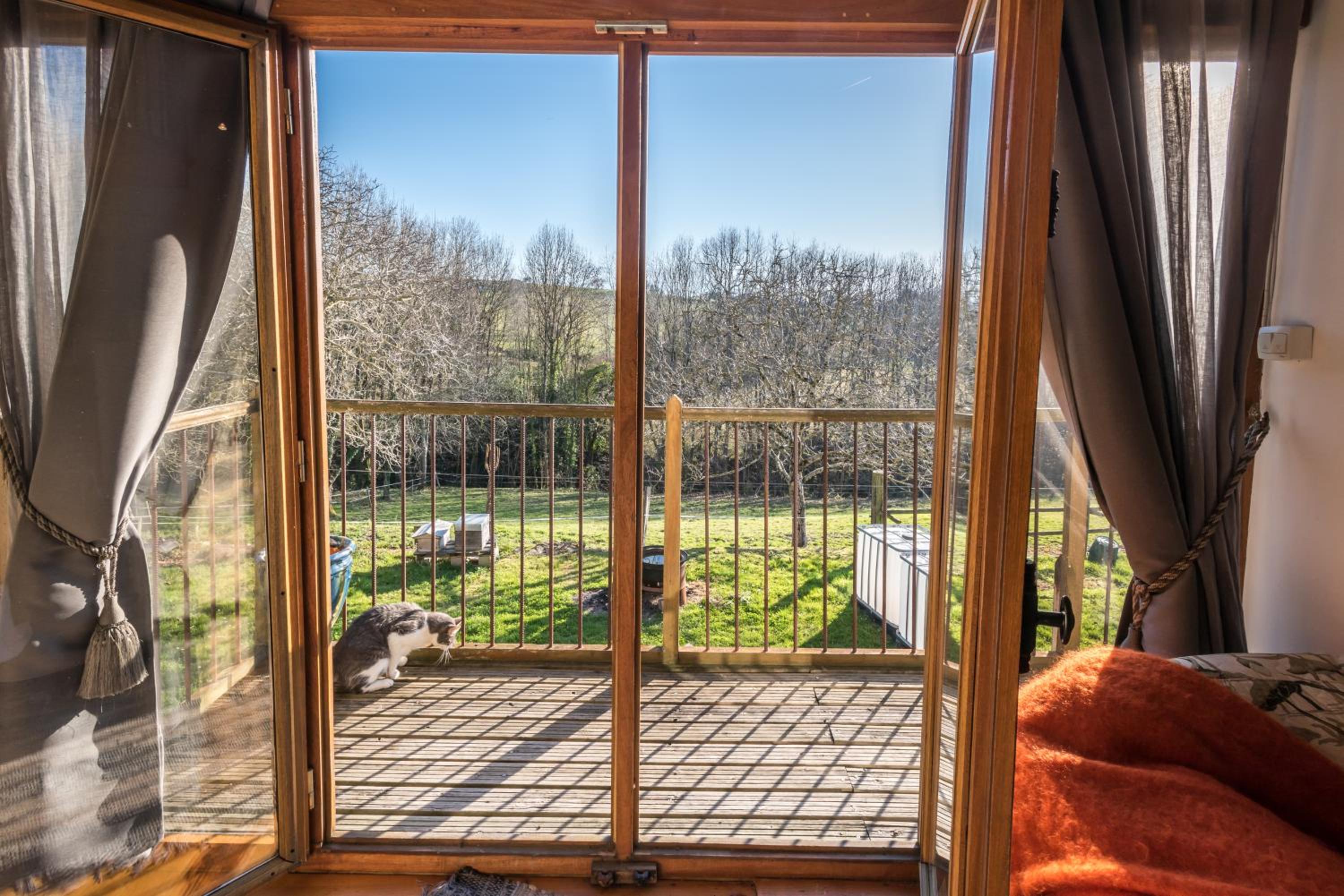 Haras Picard du Sant le Barail view 5