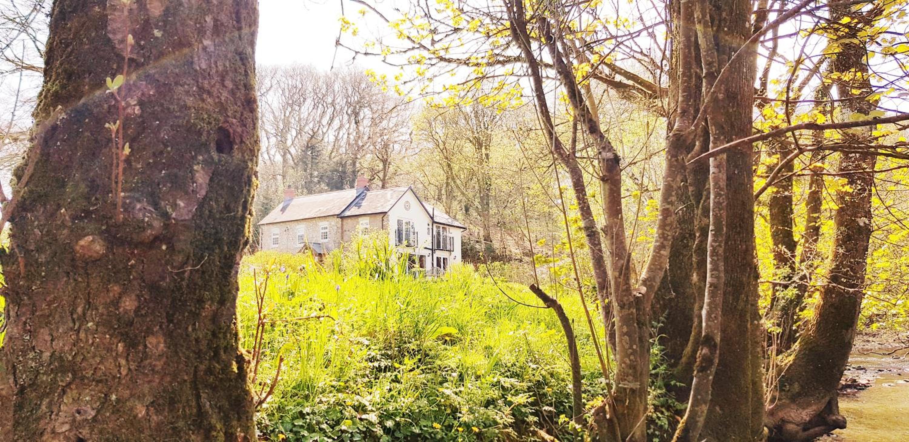 Kingsley Cottage Bed & Breakfast view 3