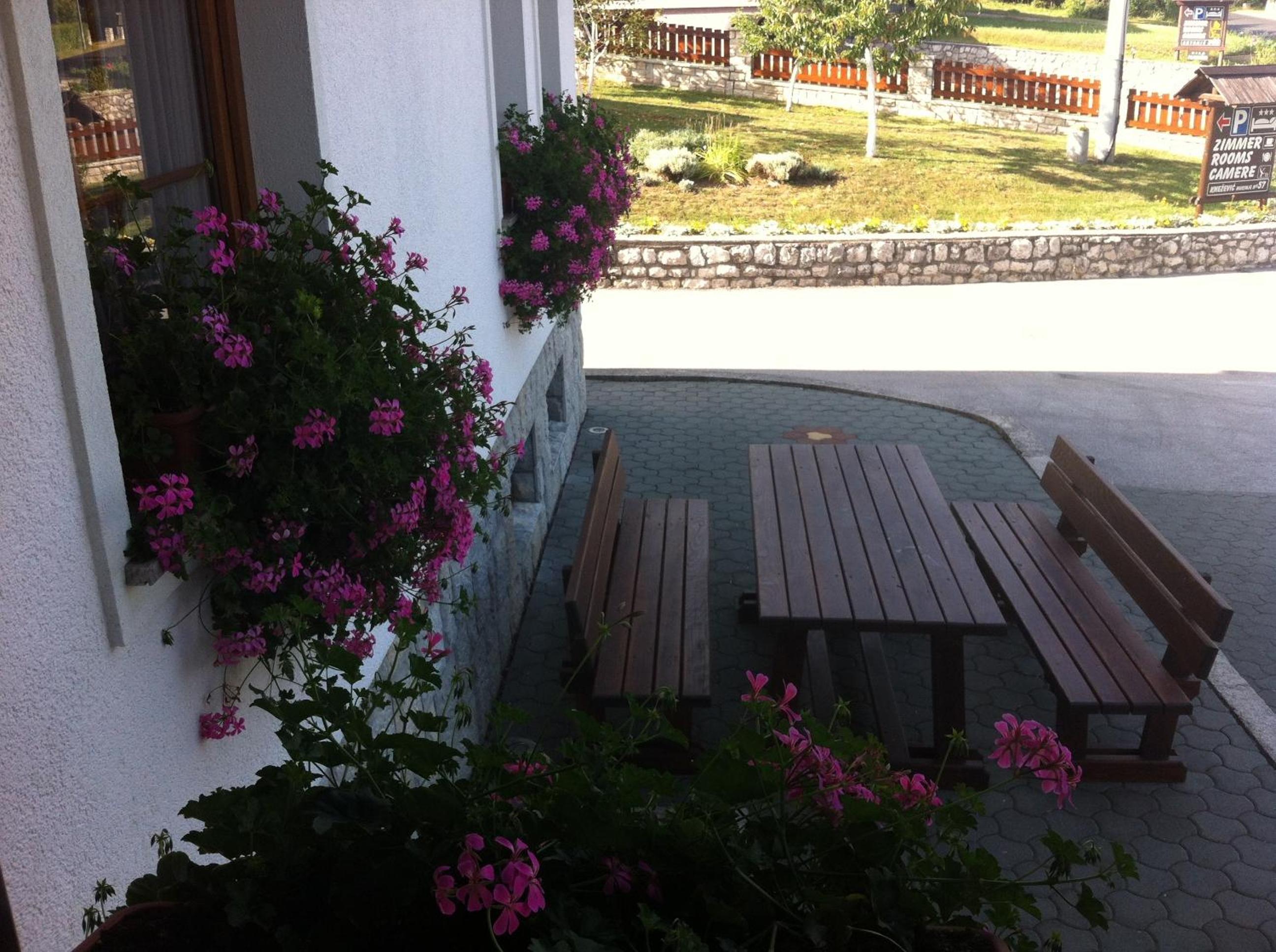Villa Knezevic-completely renovated 2025