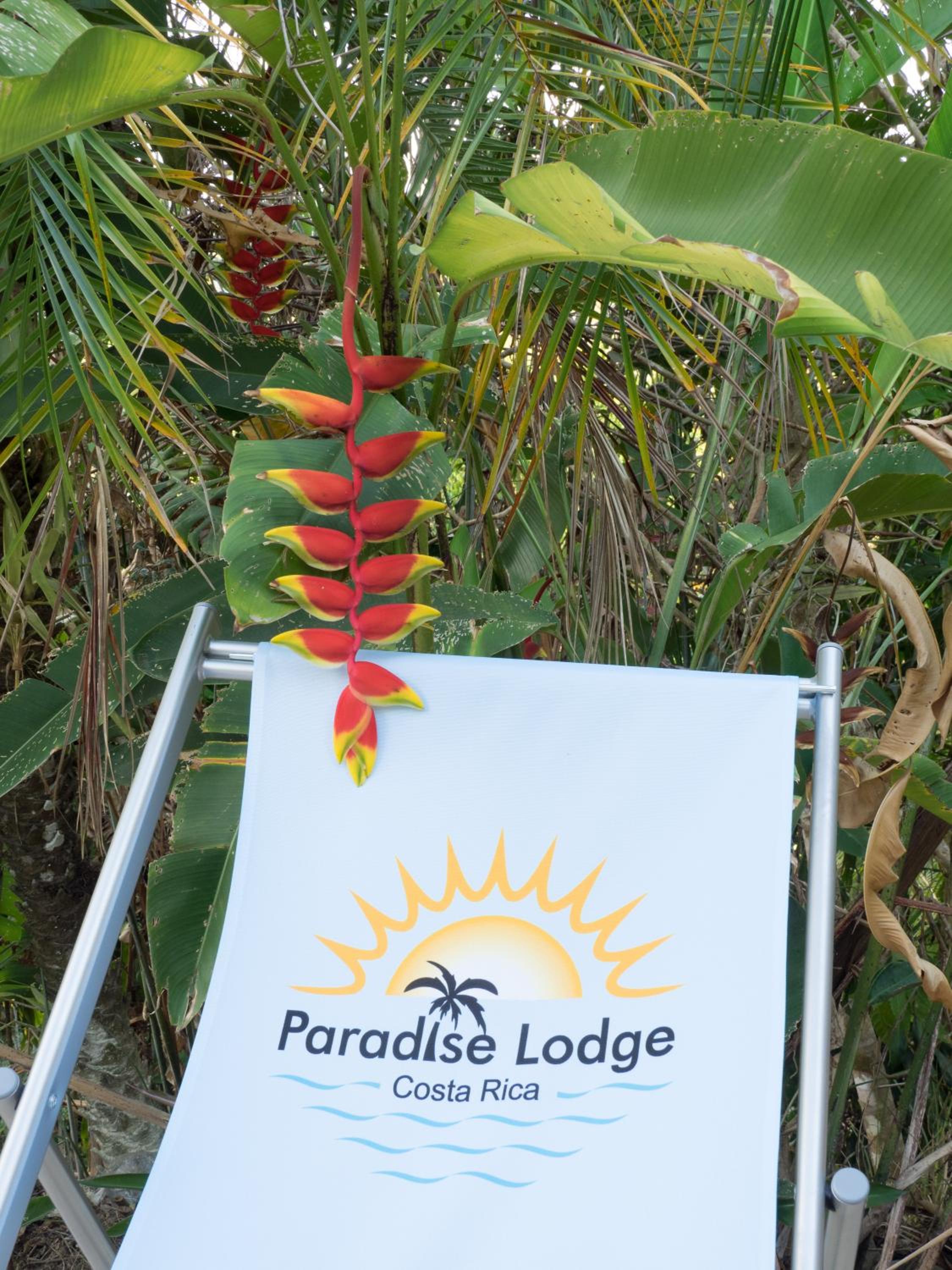 Junglebungalow