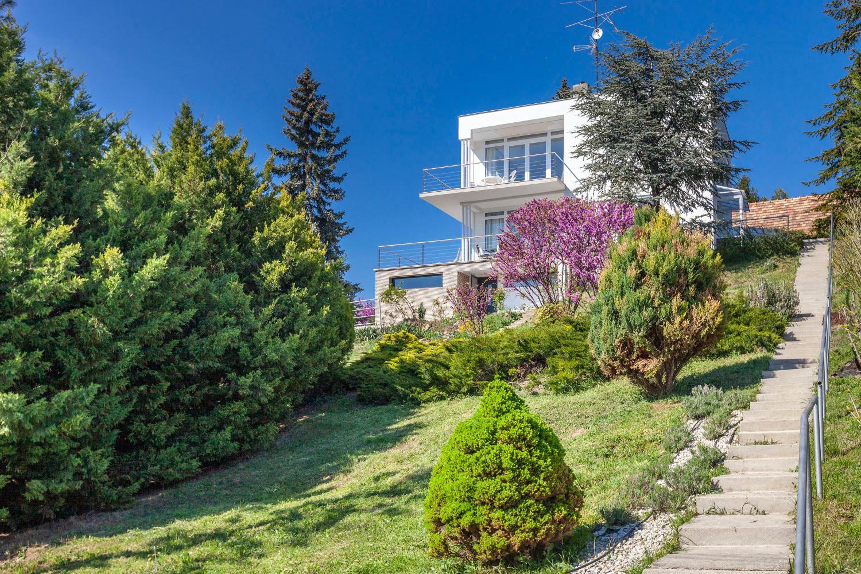 Hotel Mirador Balaton design Villa - Image 1