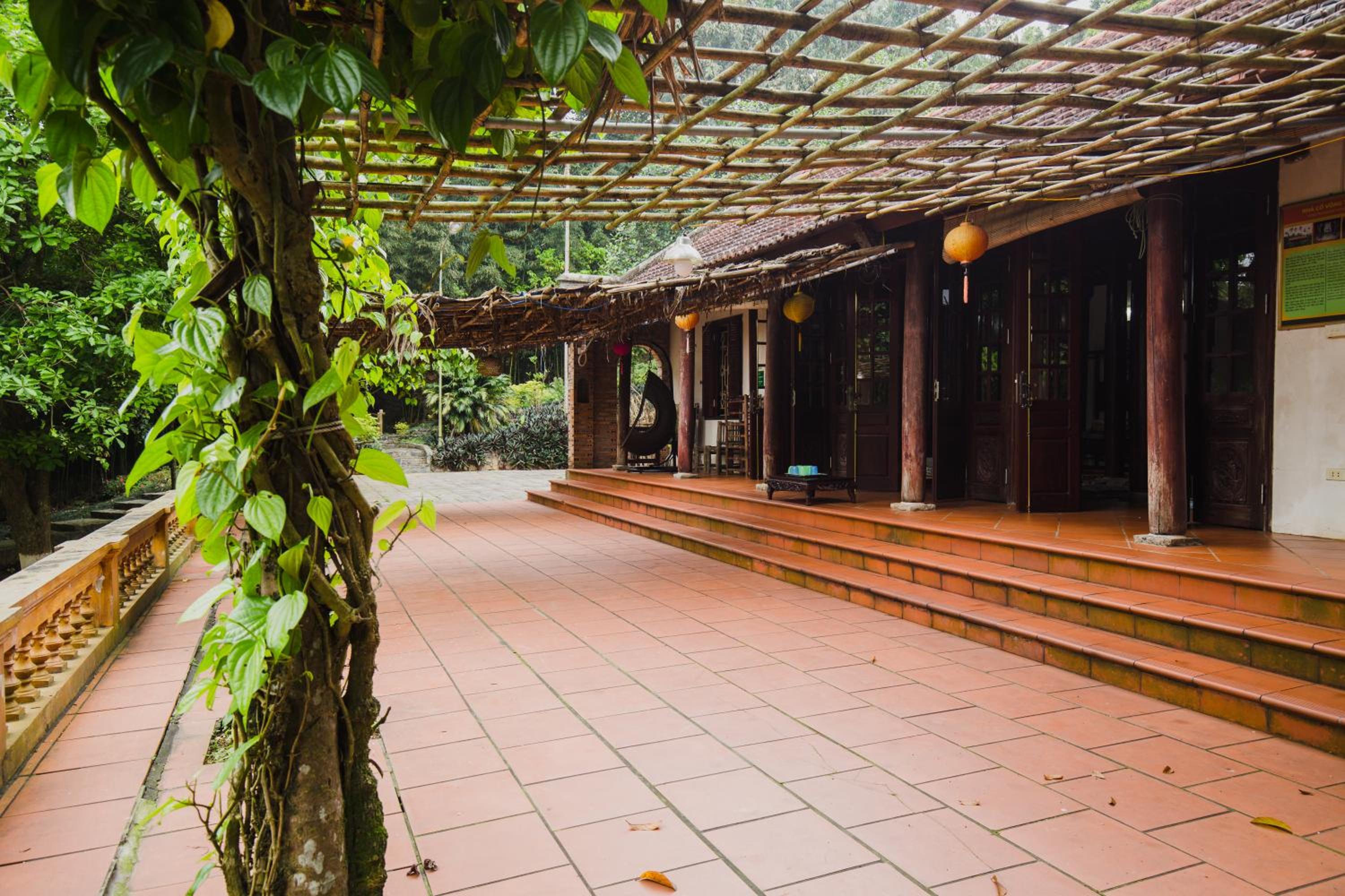 Bavi Homestead view 5