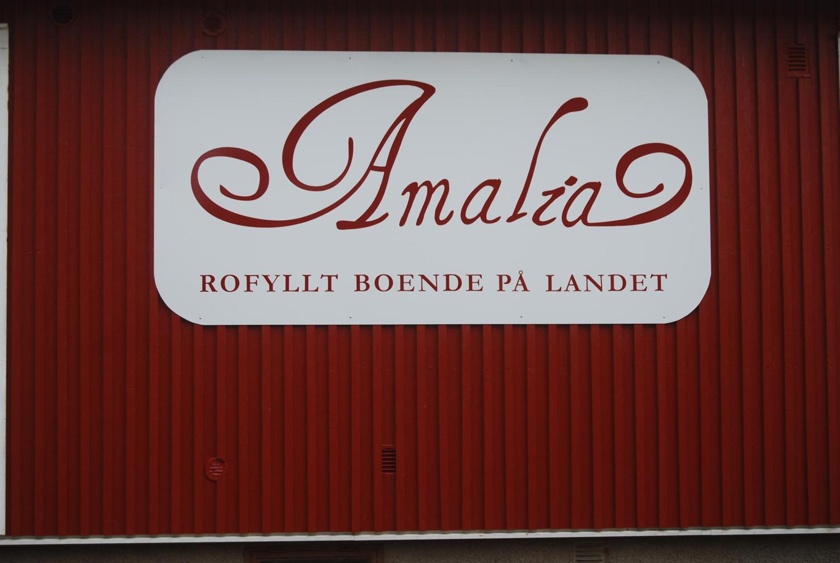 Amalia view 2