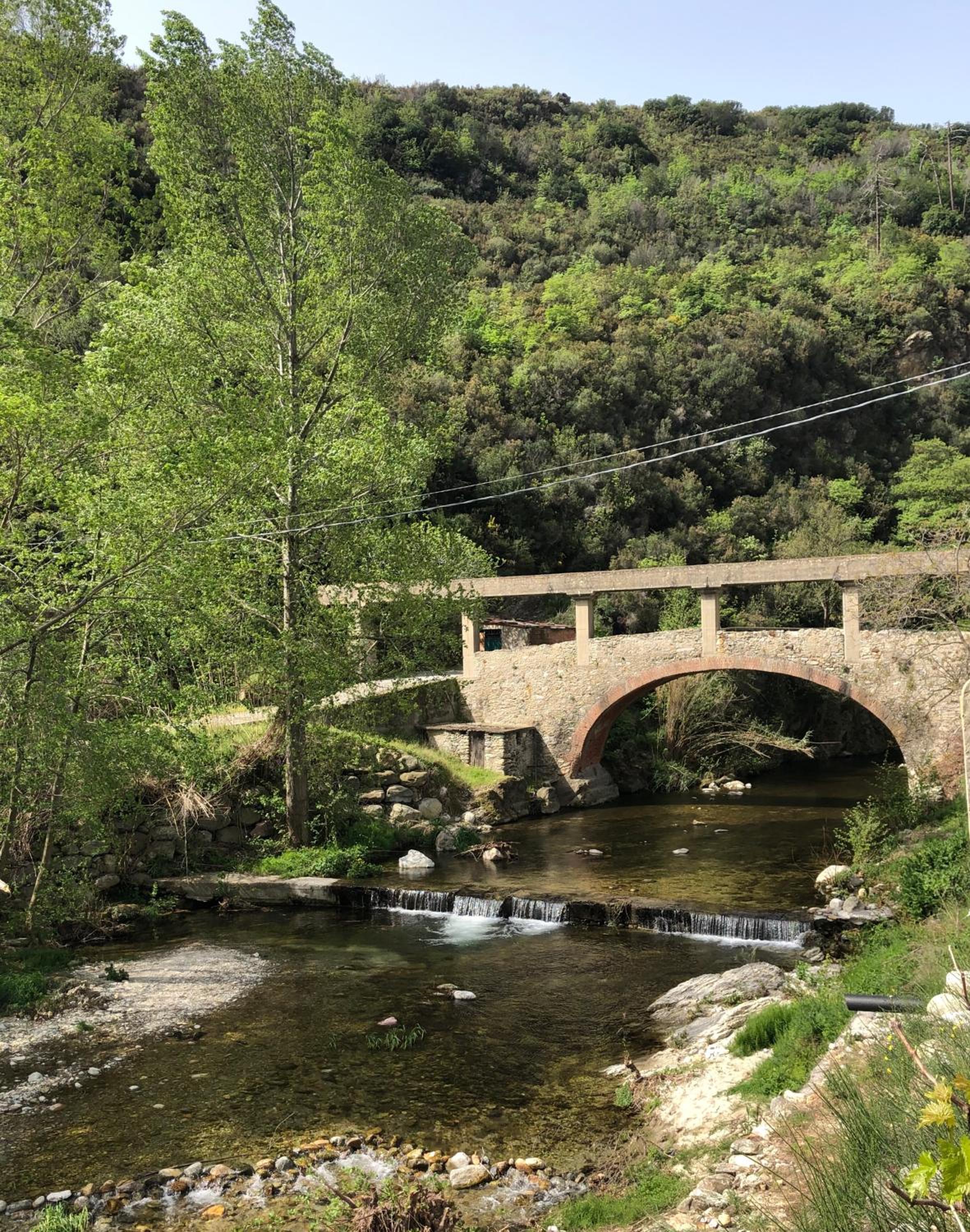 Photo 40