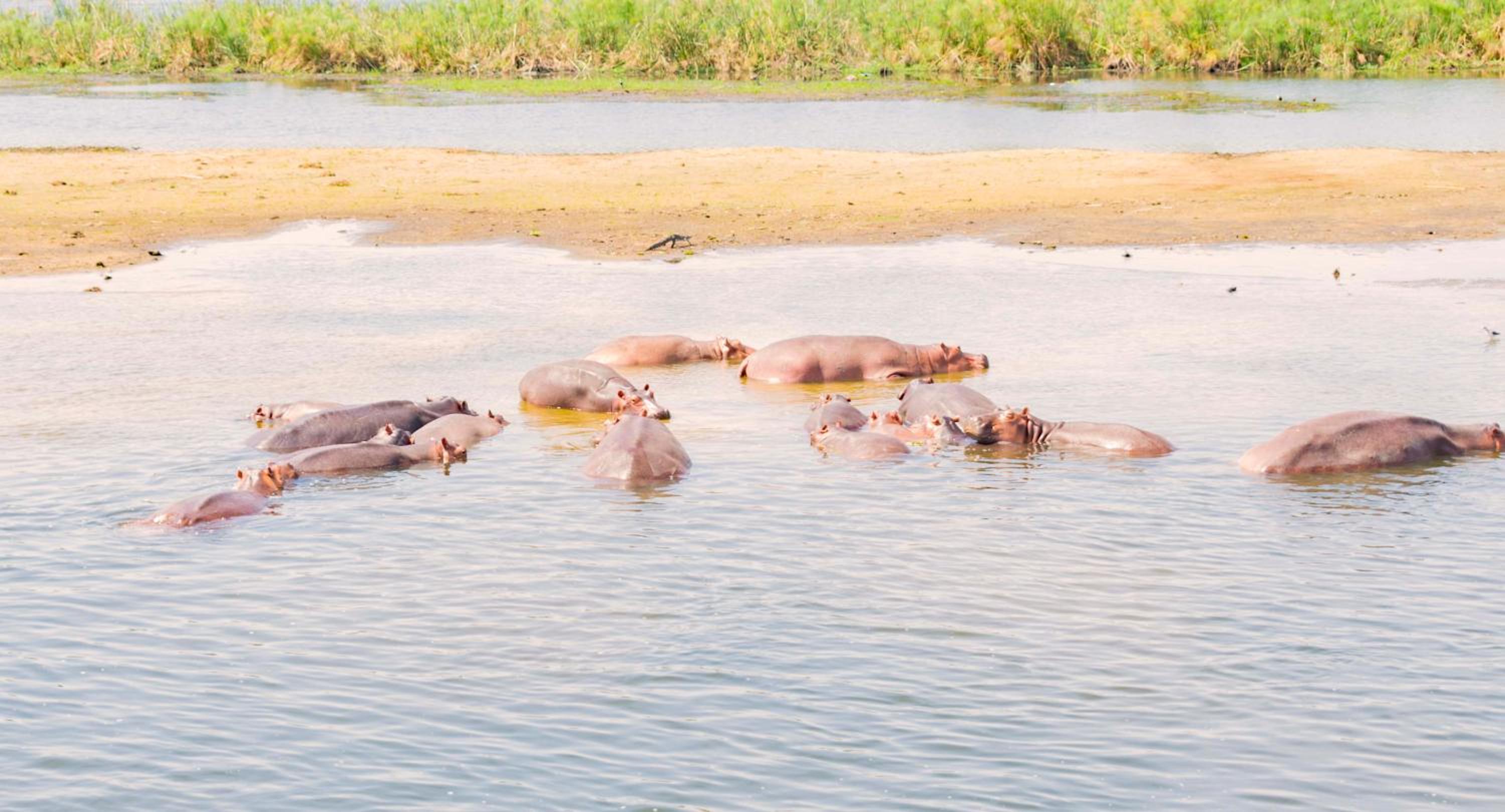 Sambiya River Lodge 16
