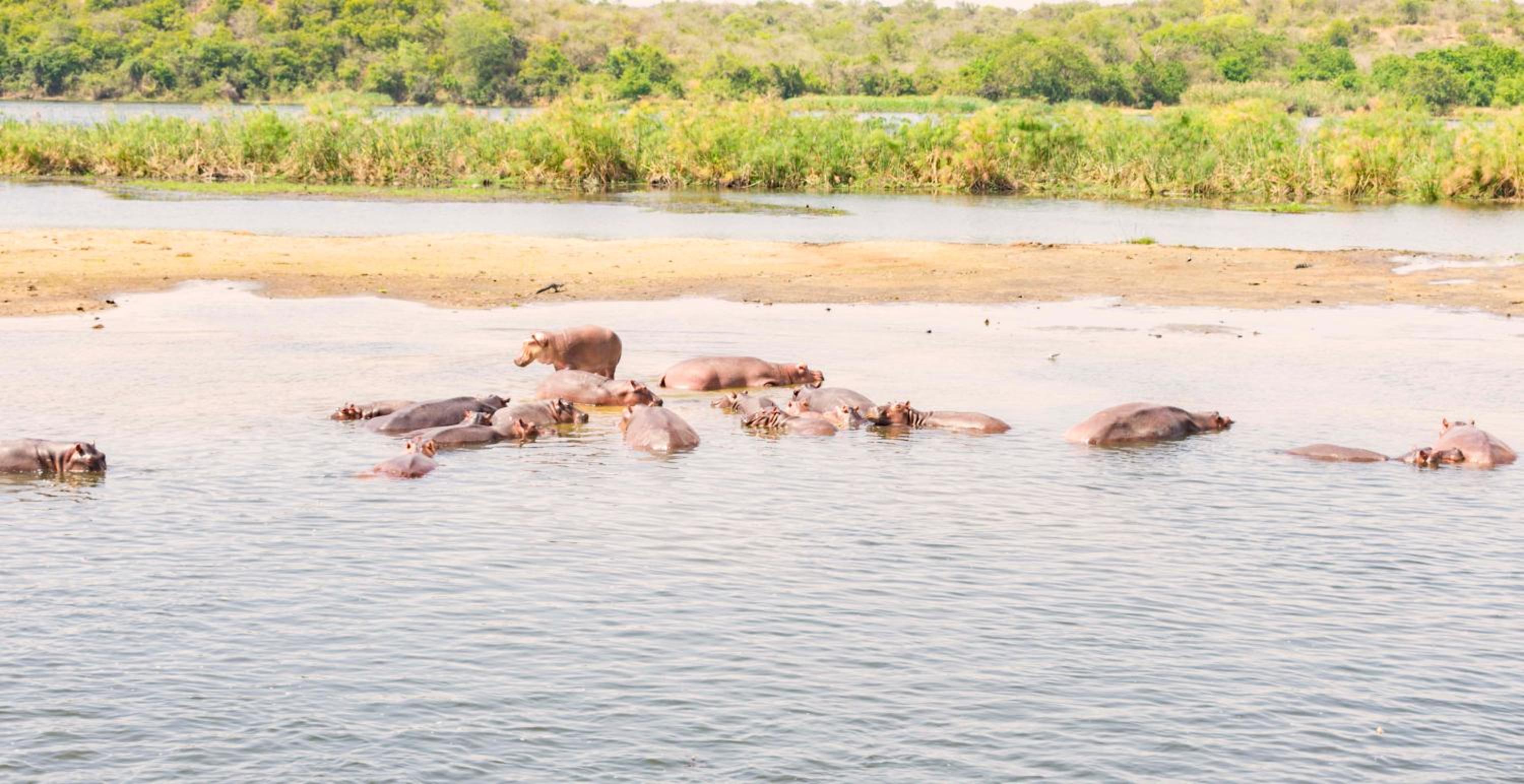 Sambiya River Lodge 20