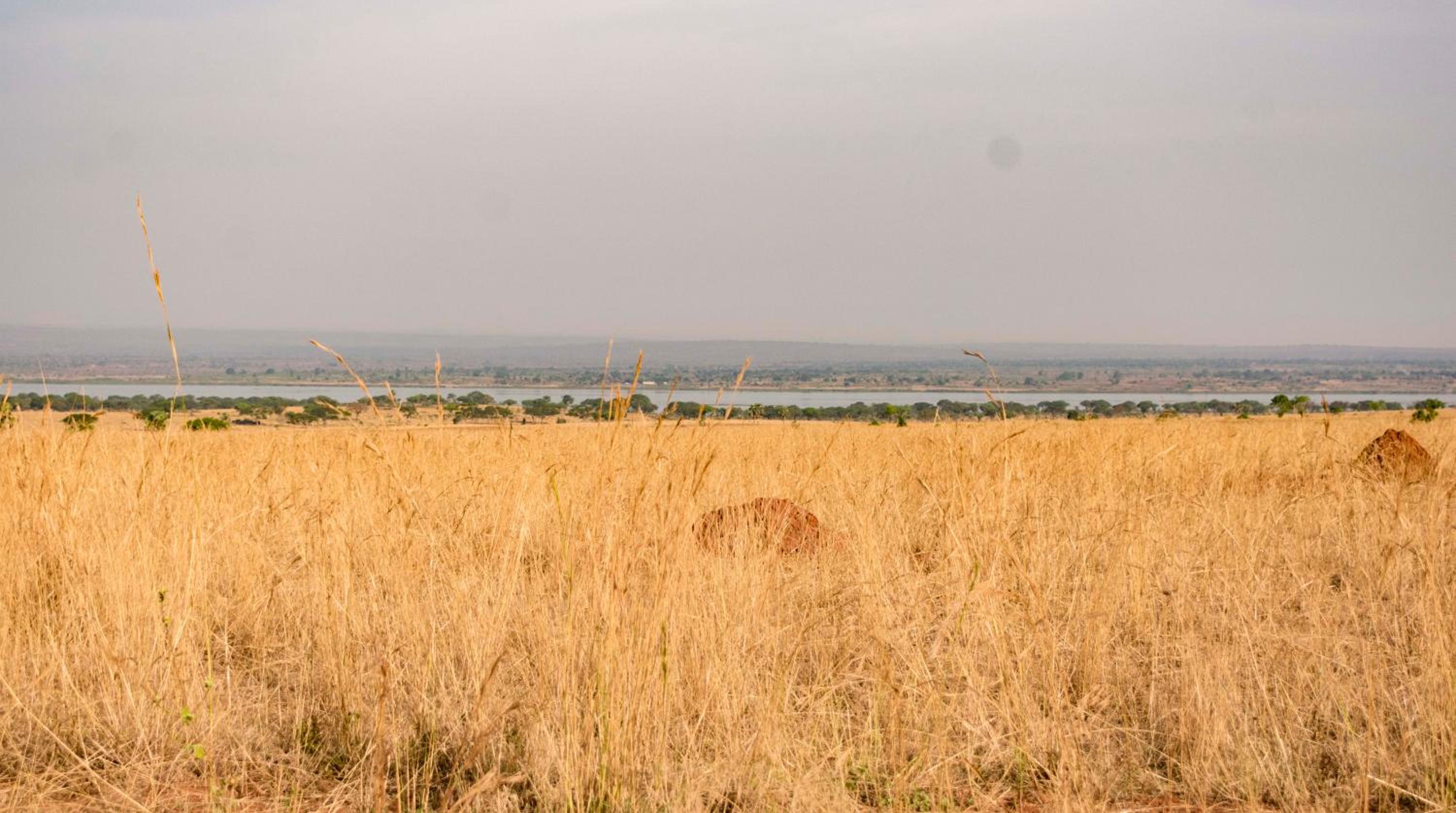 Sambiya River Lodge 41