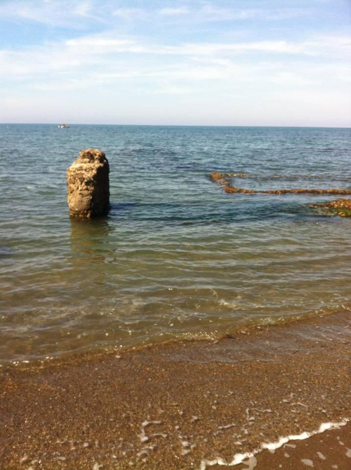 Photo 24