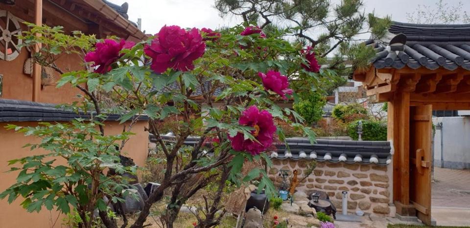 Hanok Hyeyum