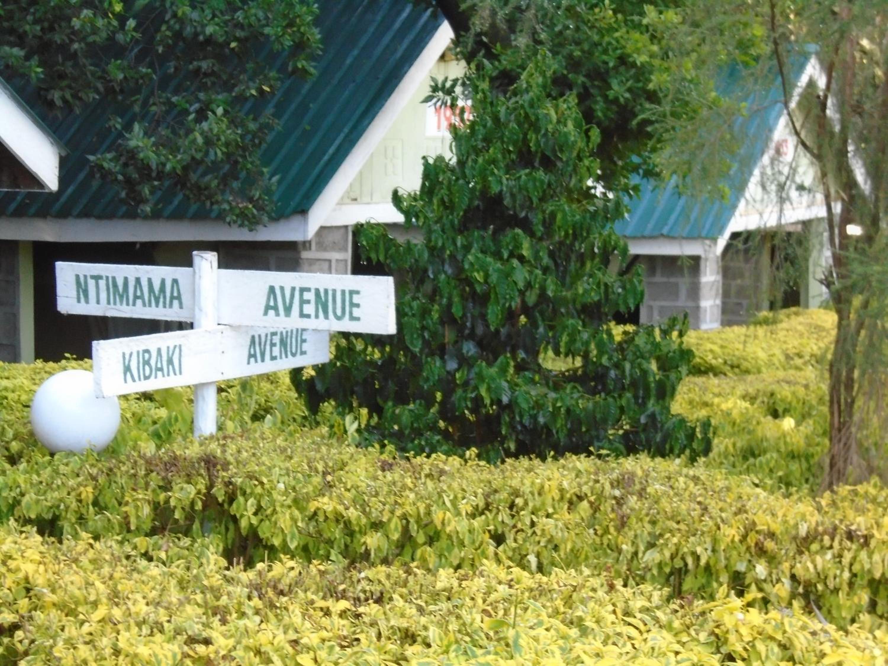 Rhino Tourist Camp