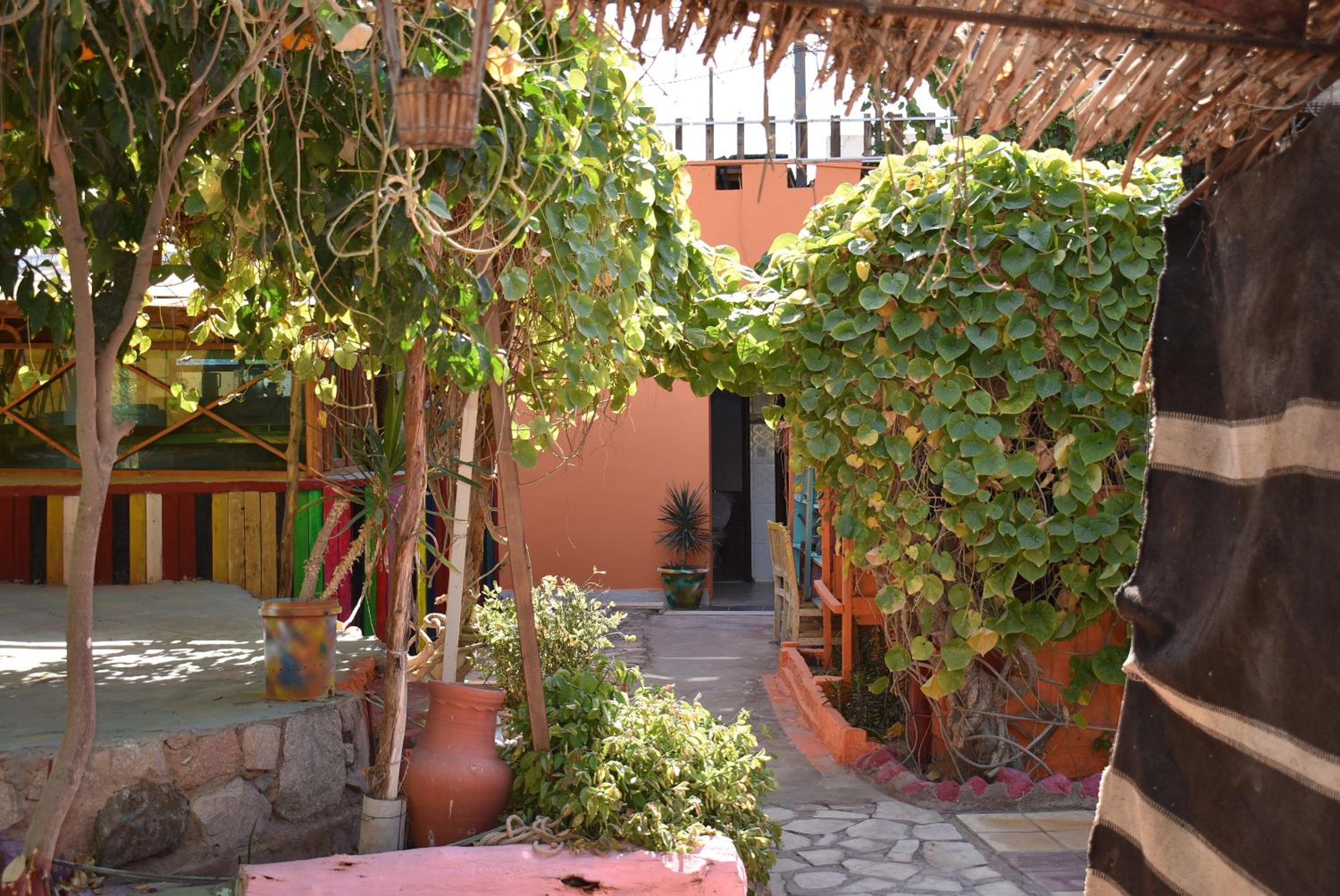 Aqaba Vacations - Bedouin Garden Village, hotel Dive - Property Image 11