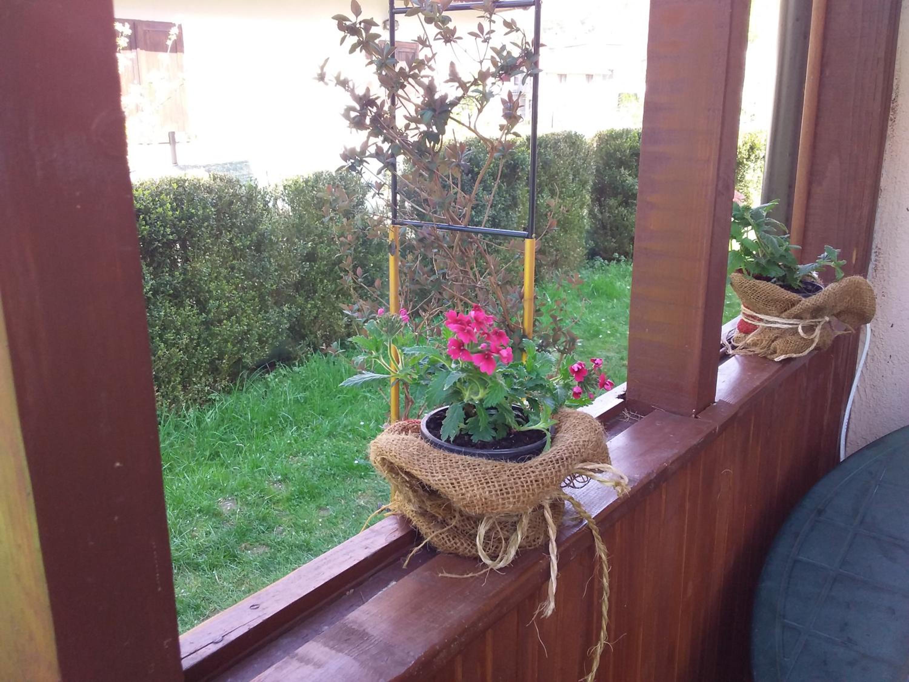 Tamaris Holiday Home