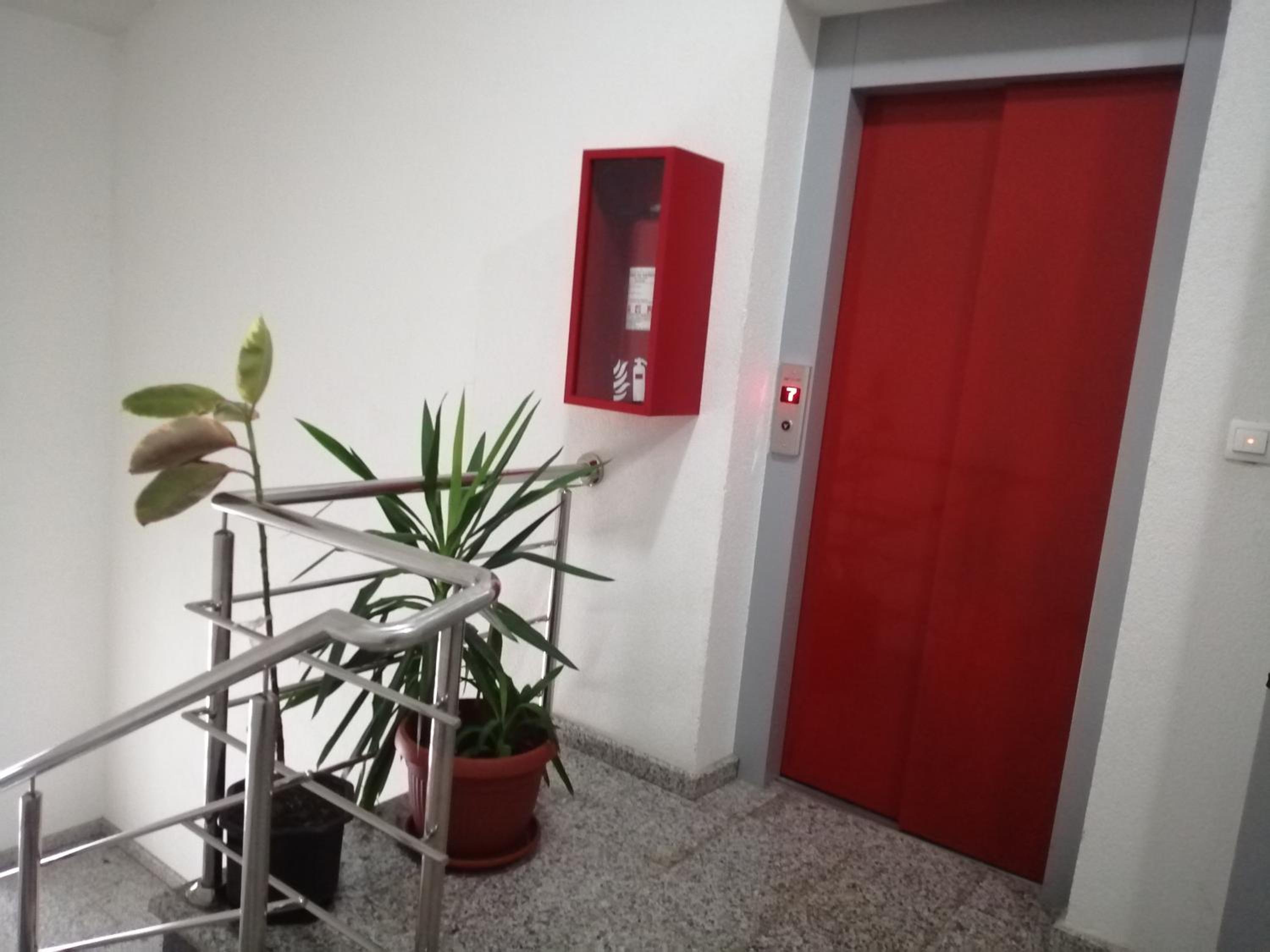 Apartment Nesrine