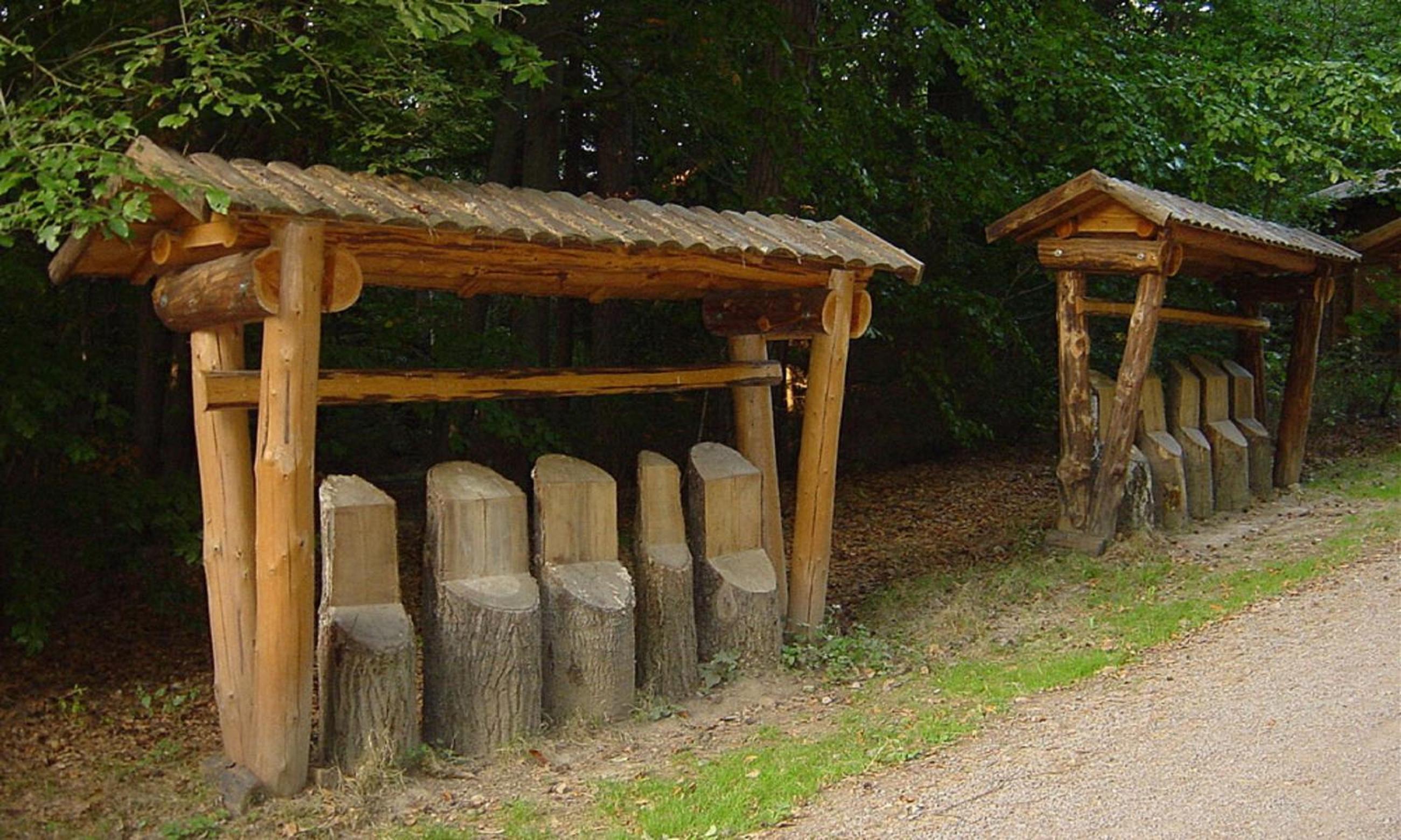 Photo 41