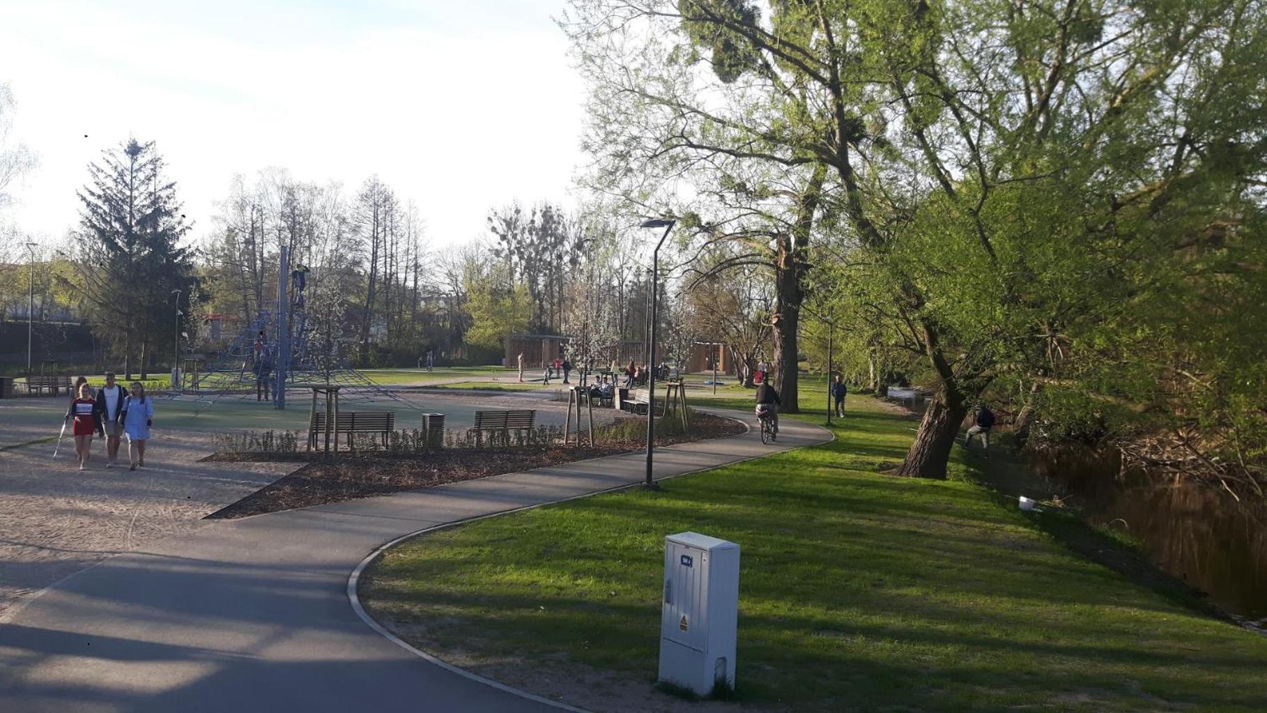 Photo 12