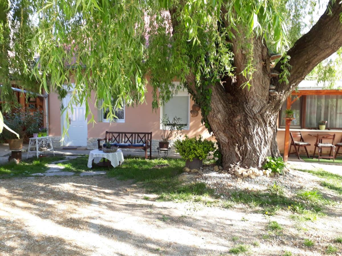 Photo 48