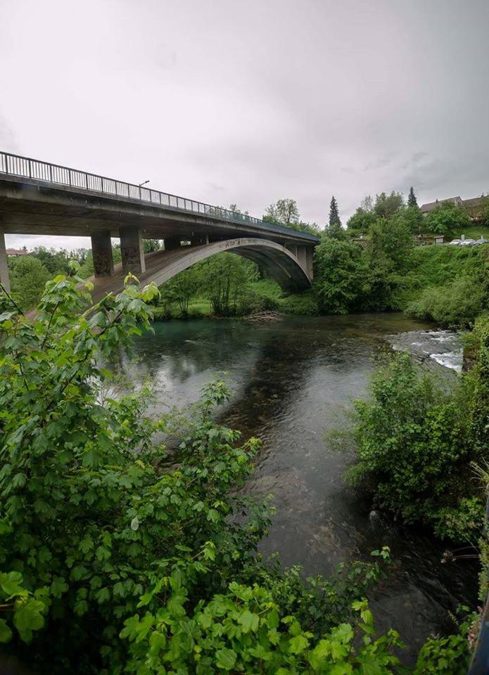 Apartman Drenovac