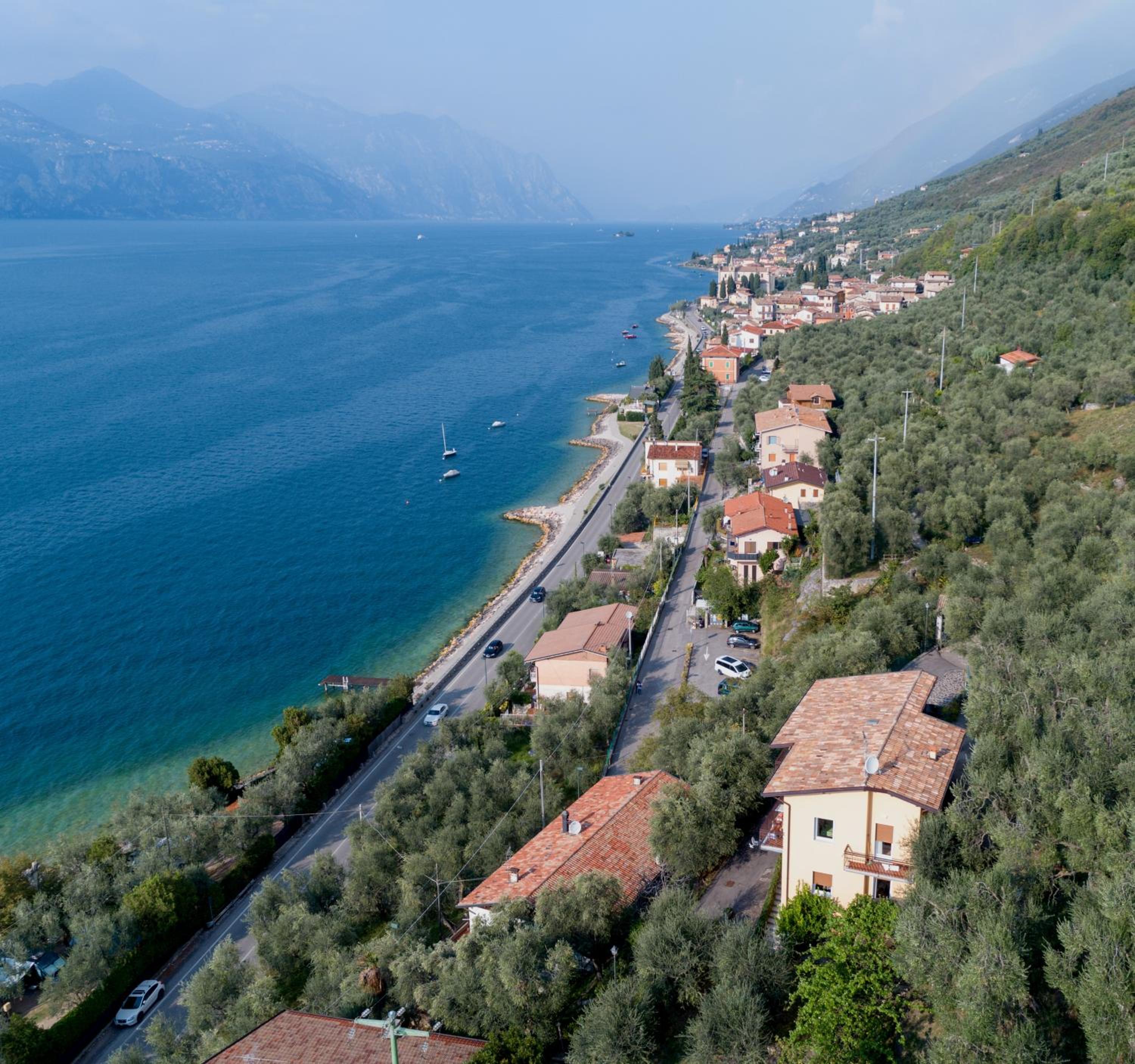 Madonna Dell'Aiuto True View Olivo view 4