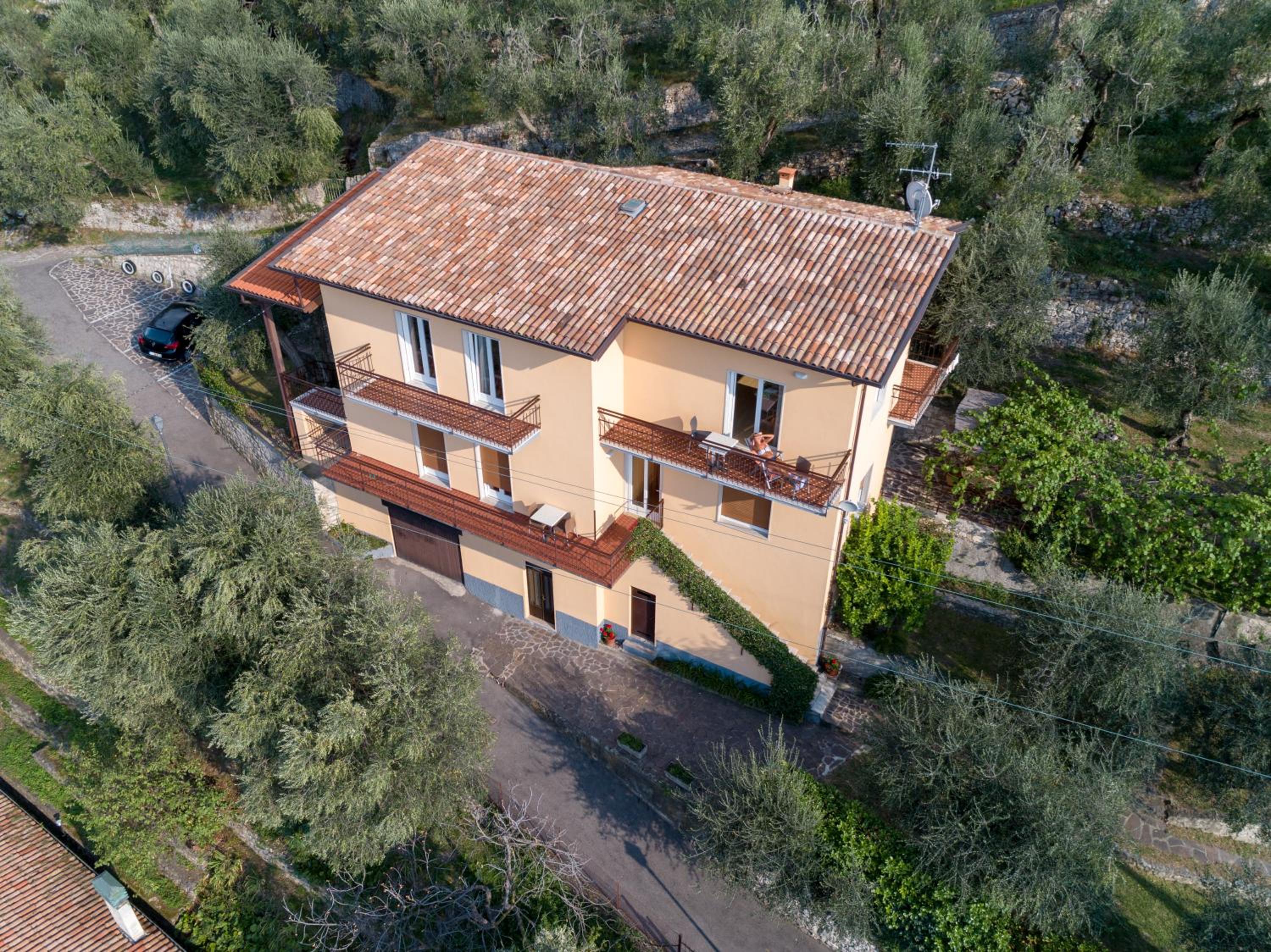 Madonna Dell'Aiuto True View Olivo view 3