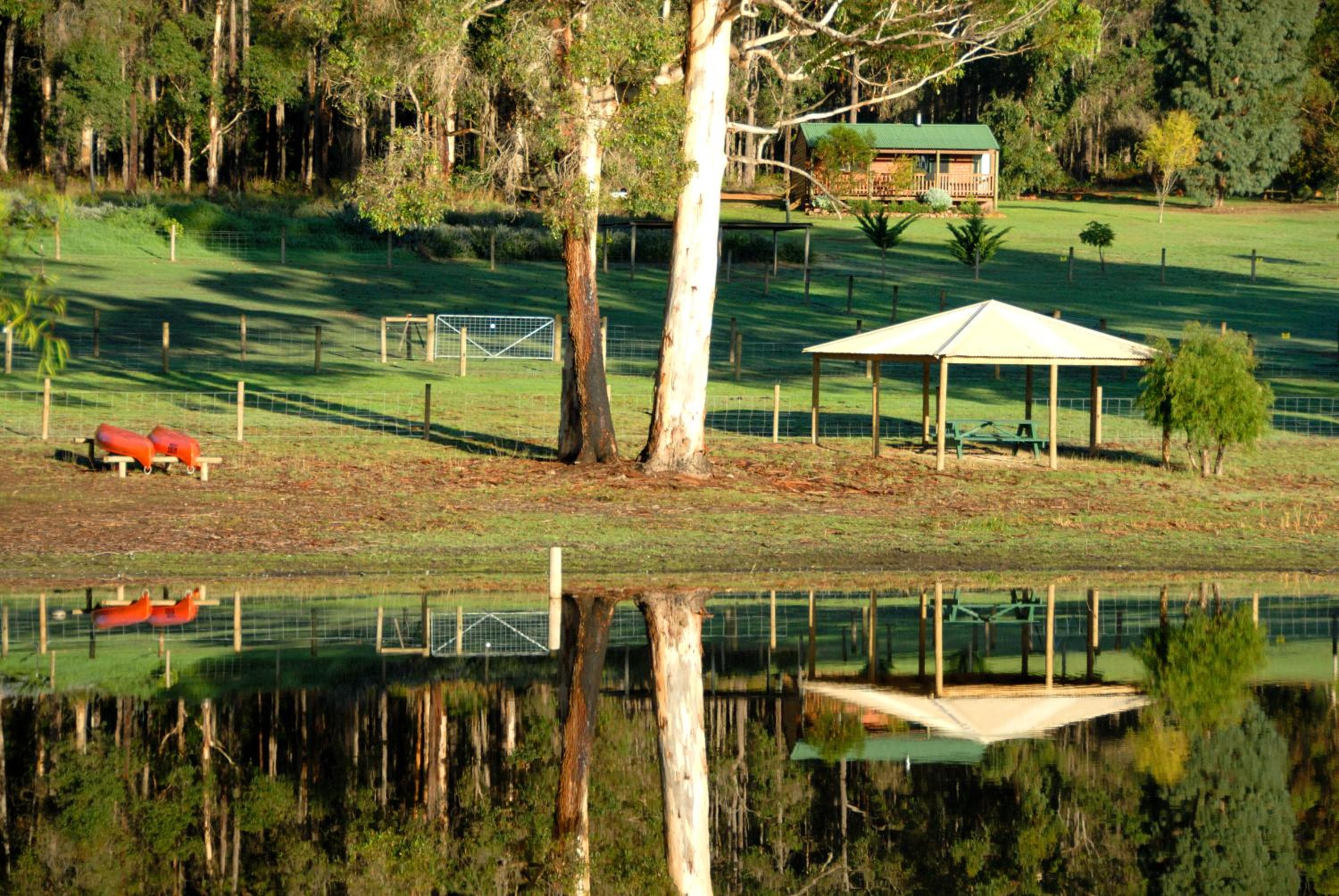 Diamond Forest Farm Stay
