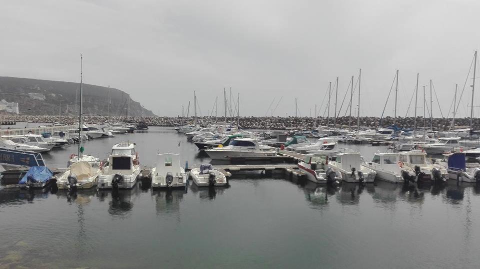Photo 41
