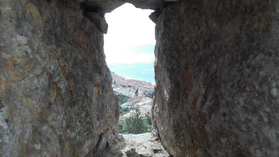 Photo 42