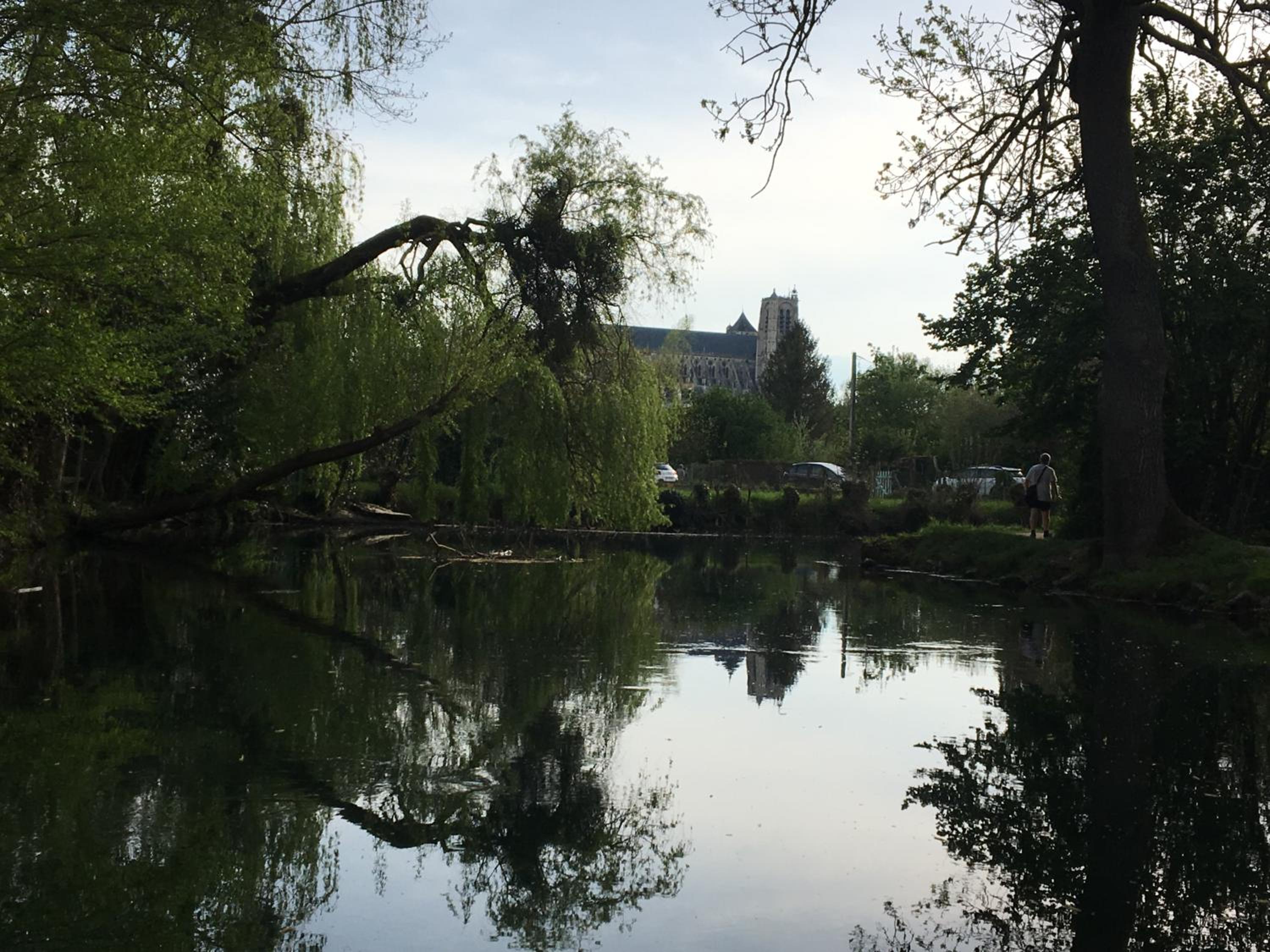 Photo 26