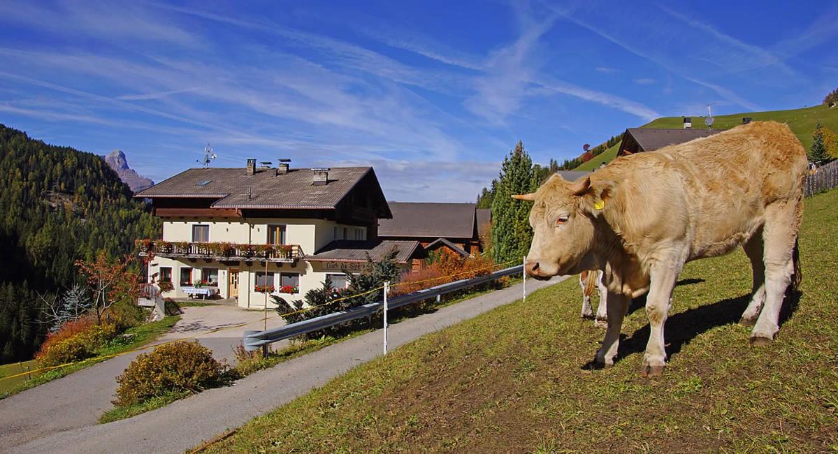 Lüch da Spescia view 2