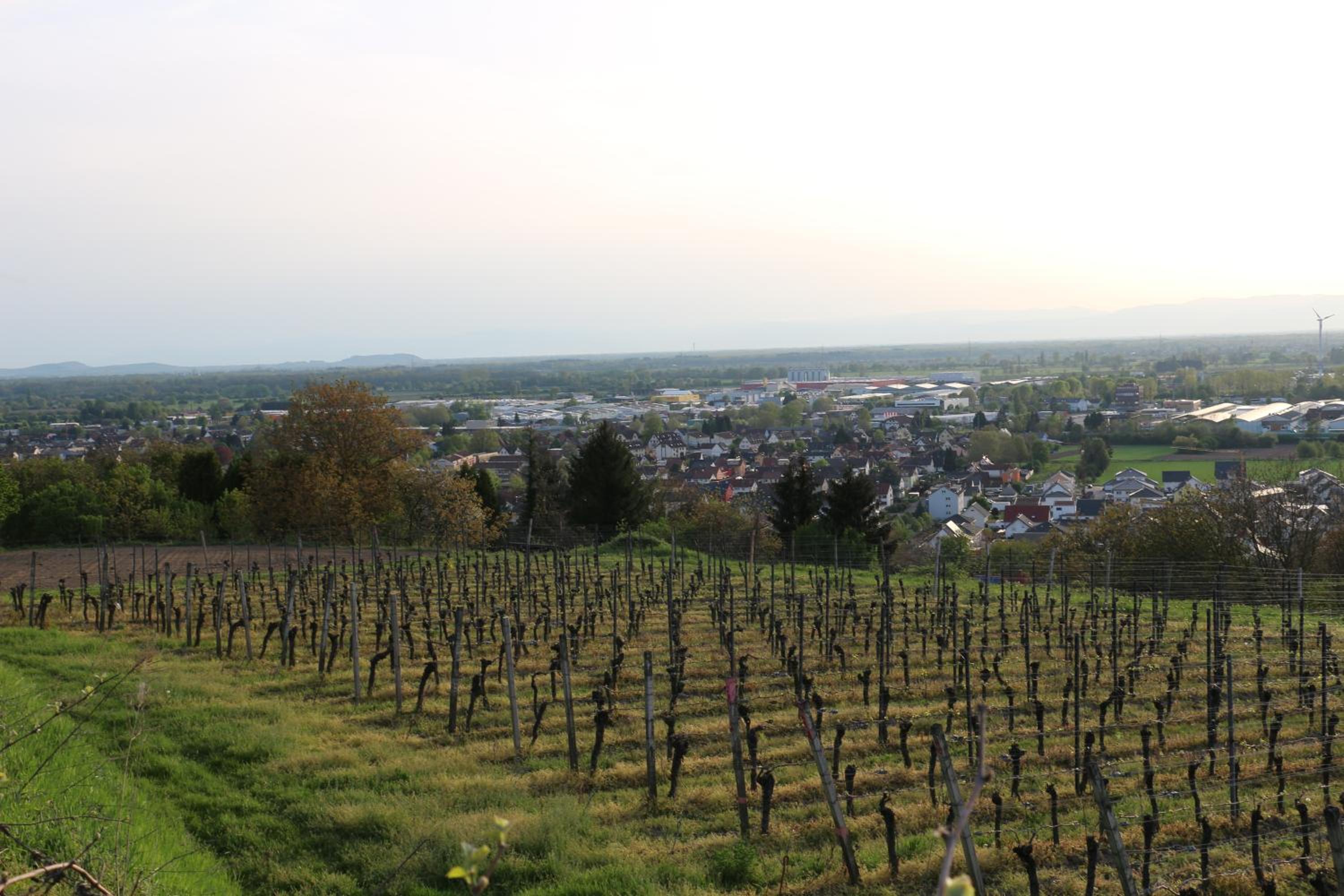 Ferienwohnung Holiday Home mit Netflix view 4