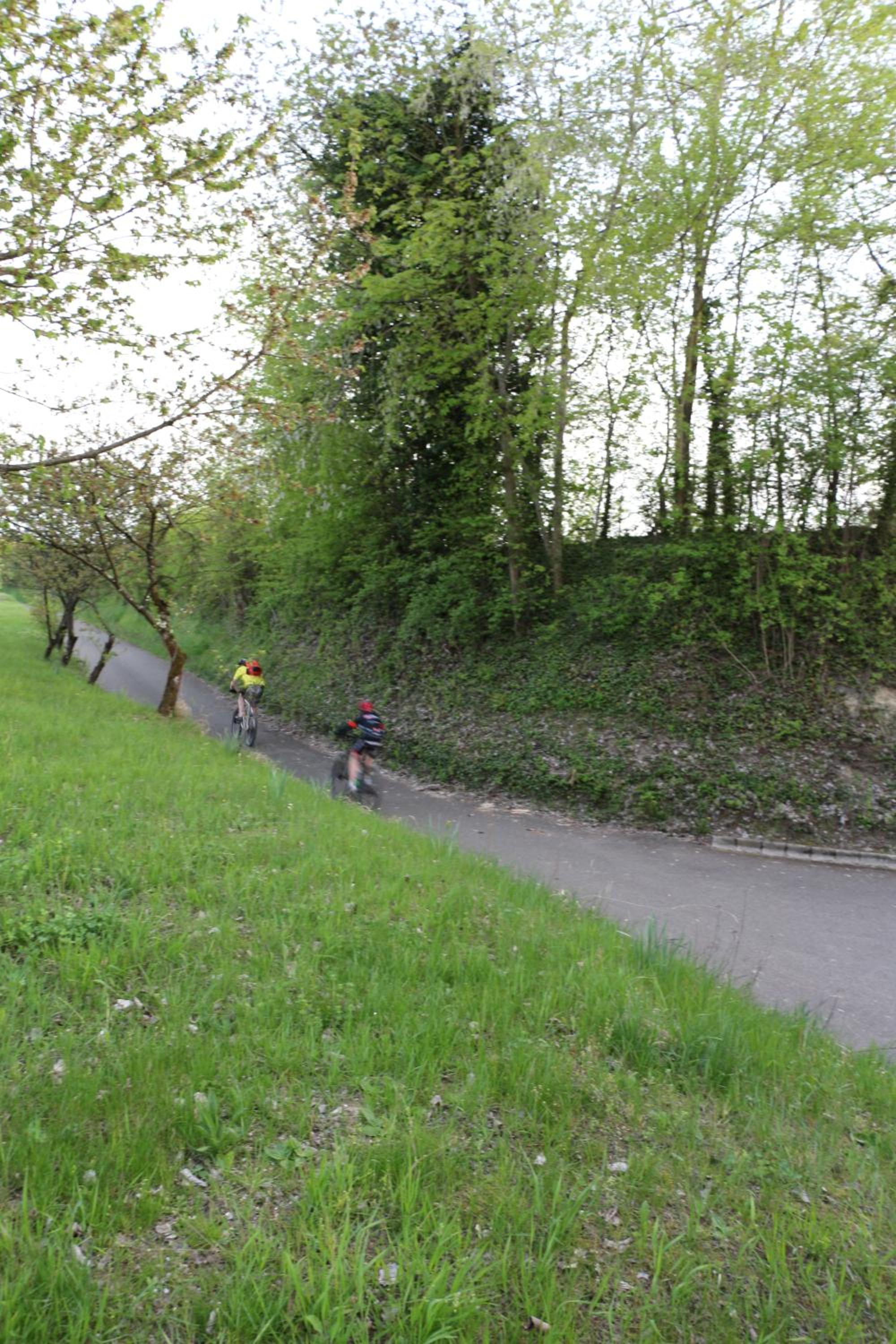Photo 33