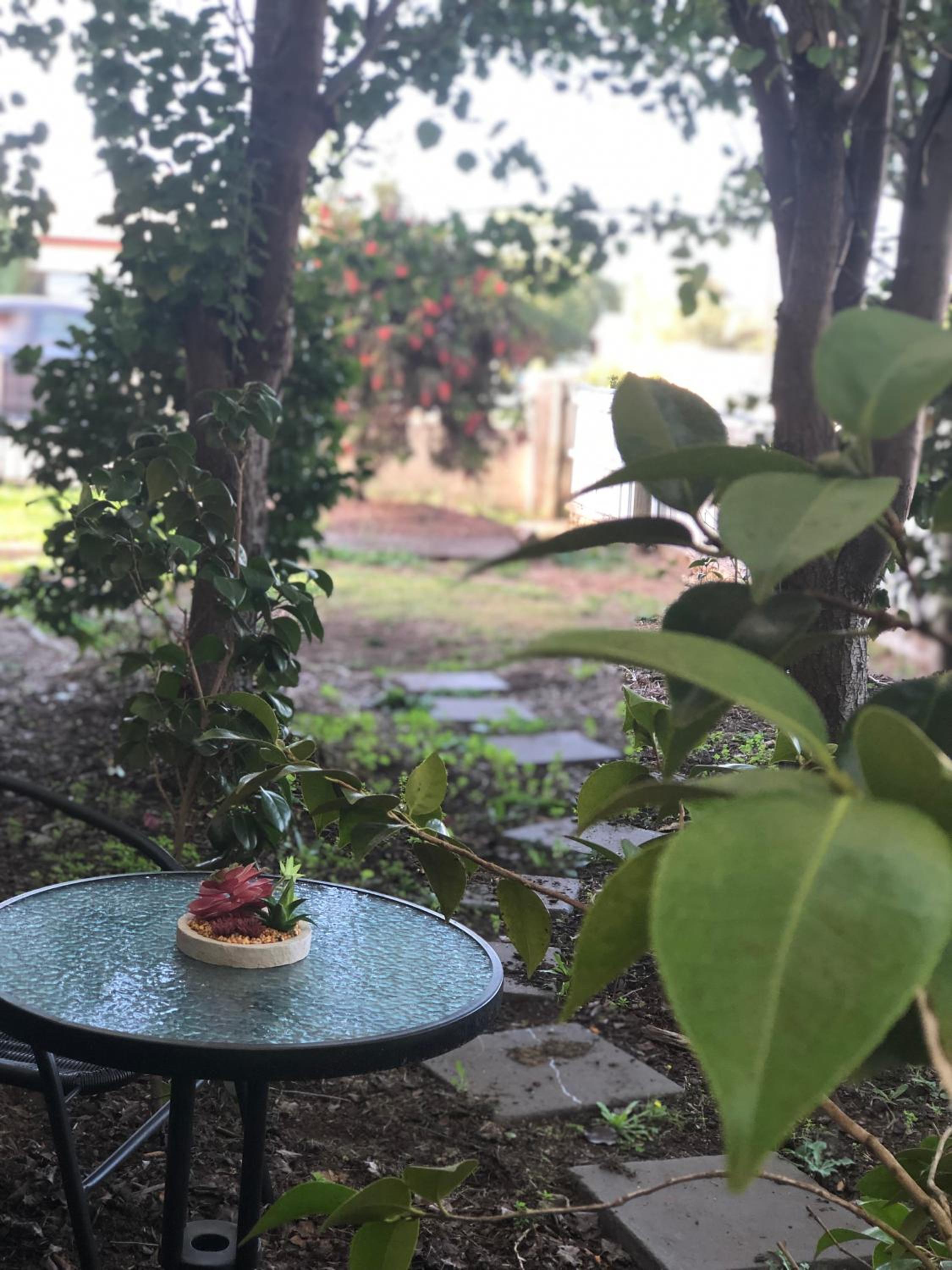 Olive's Cottage