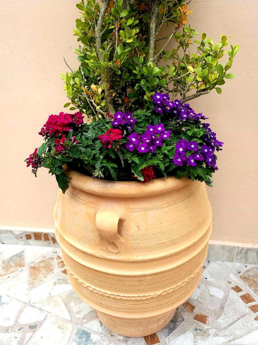Joy New Port Studio Corfu Town view 5