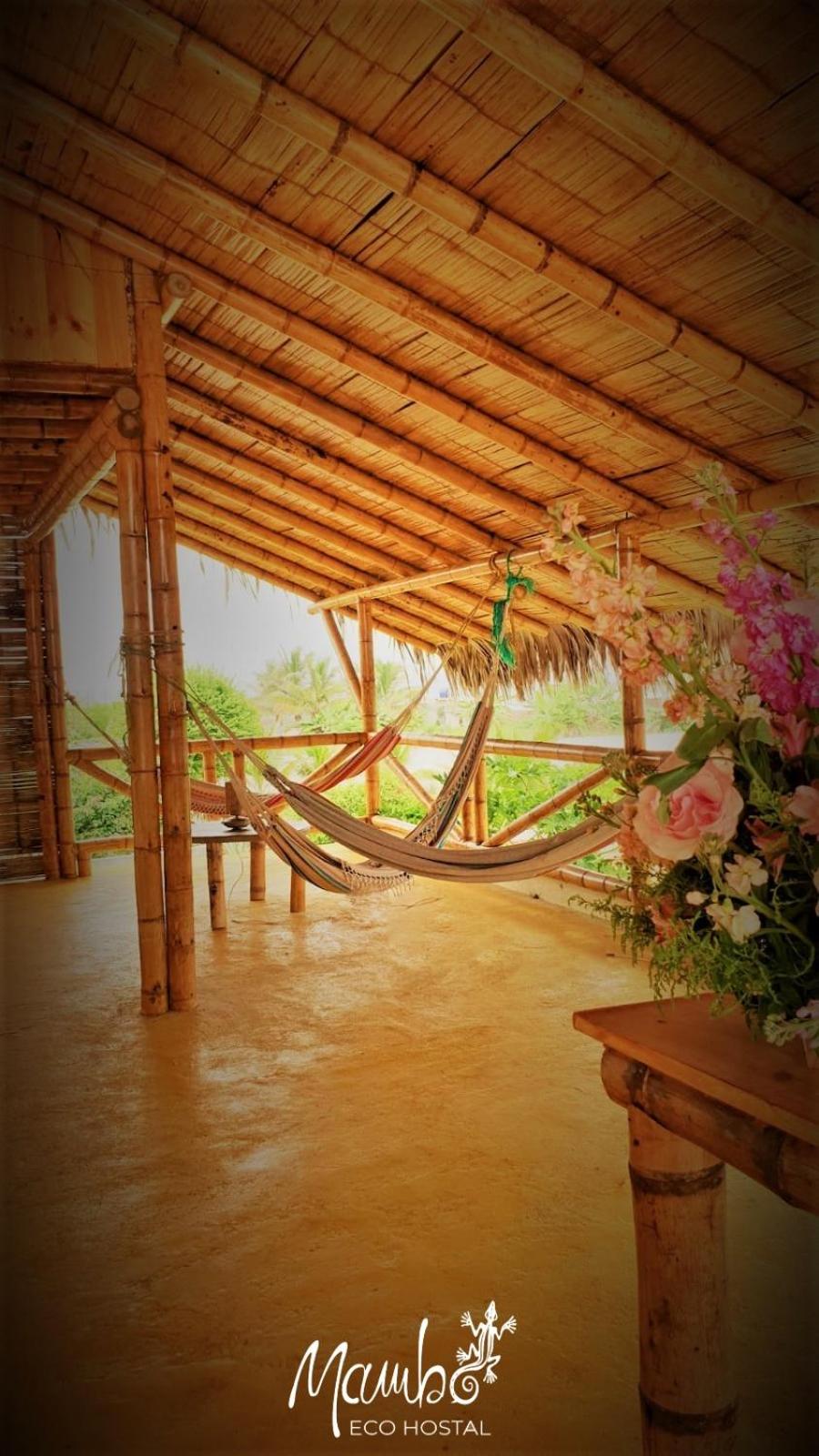 Mambo Ecohostal view 4