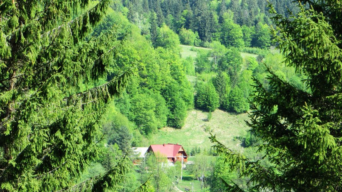 Pensiunea Poiana de Vis view 4