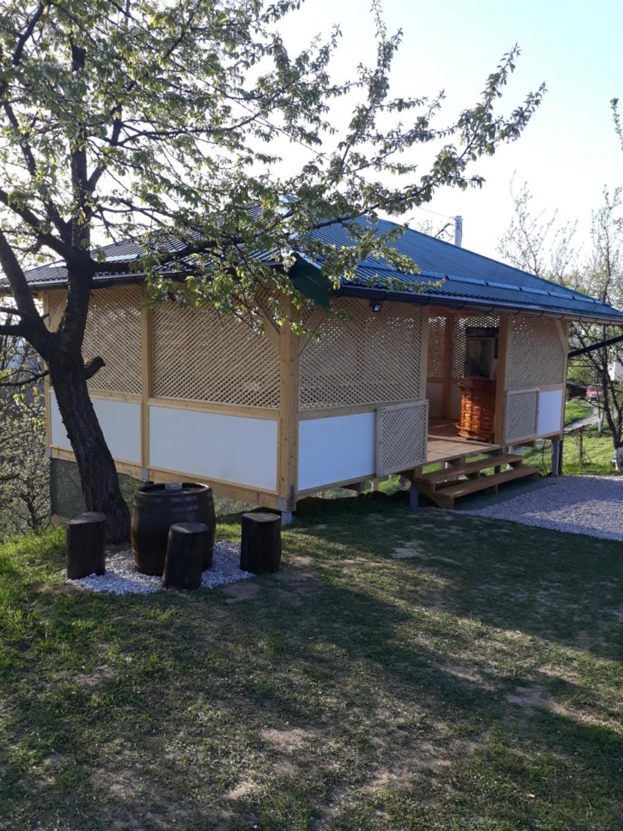 Apartments in Nature view 3