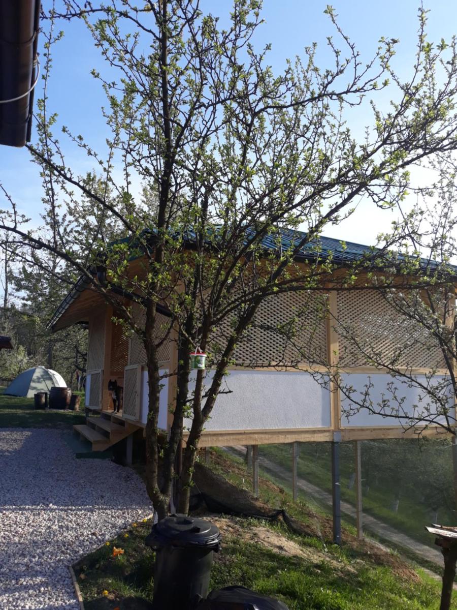 Apartments in Nature view 5