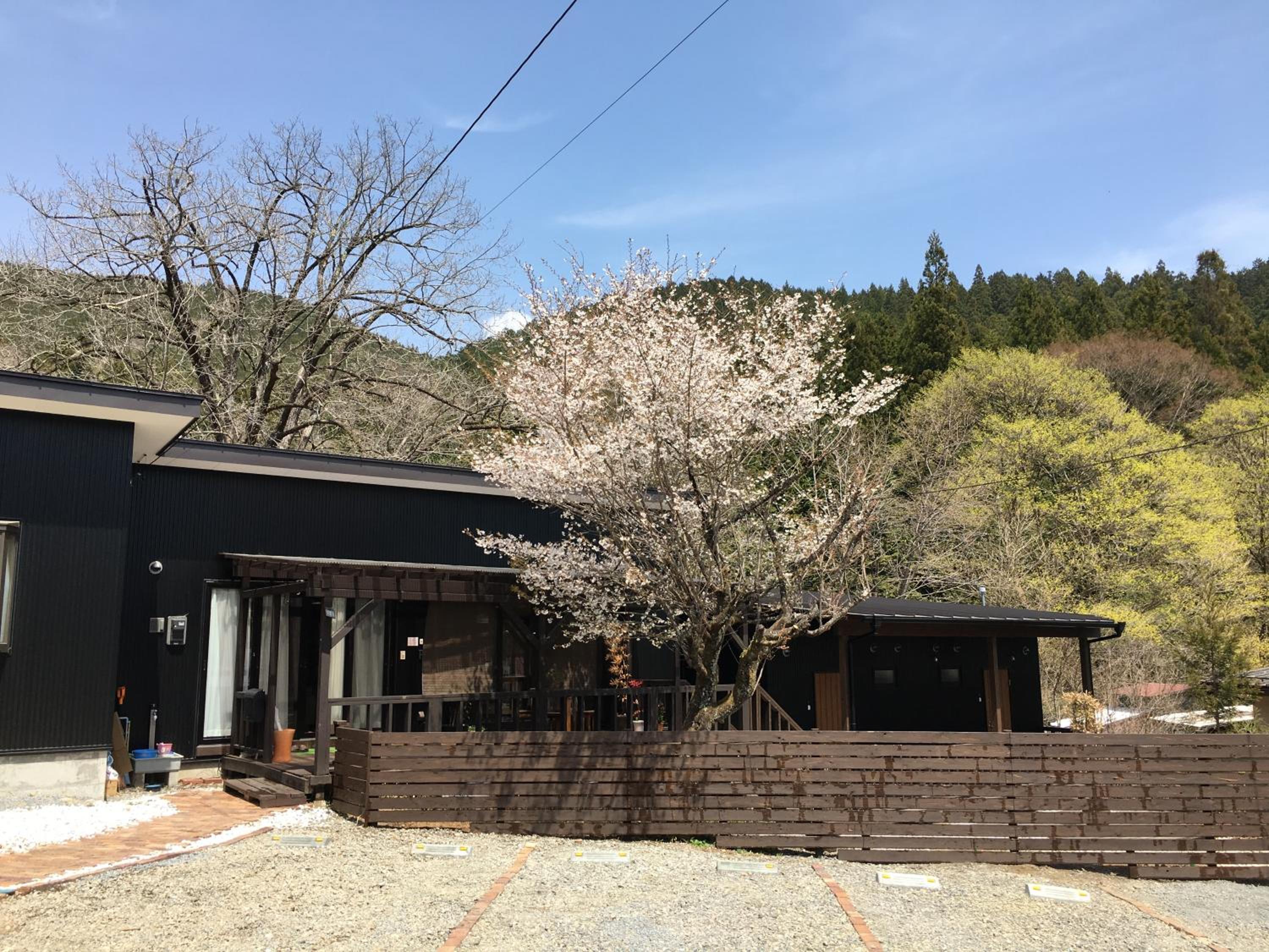 B&B Izumi Nikko view 5