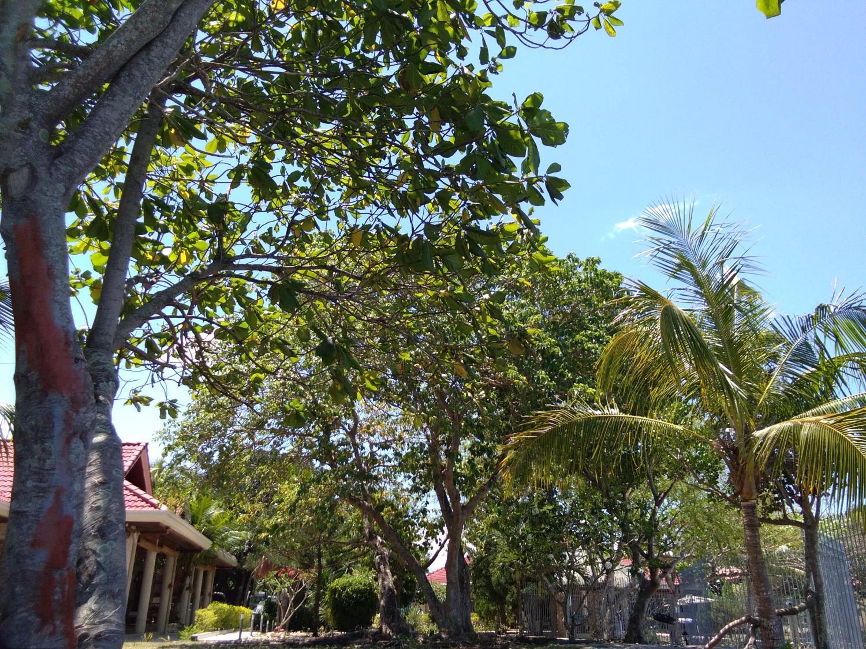 Photo 43