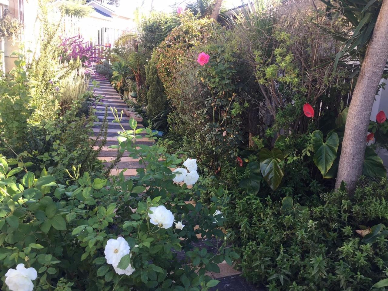 Marshrose Accommodation view 2