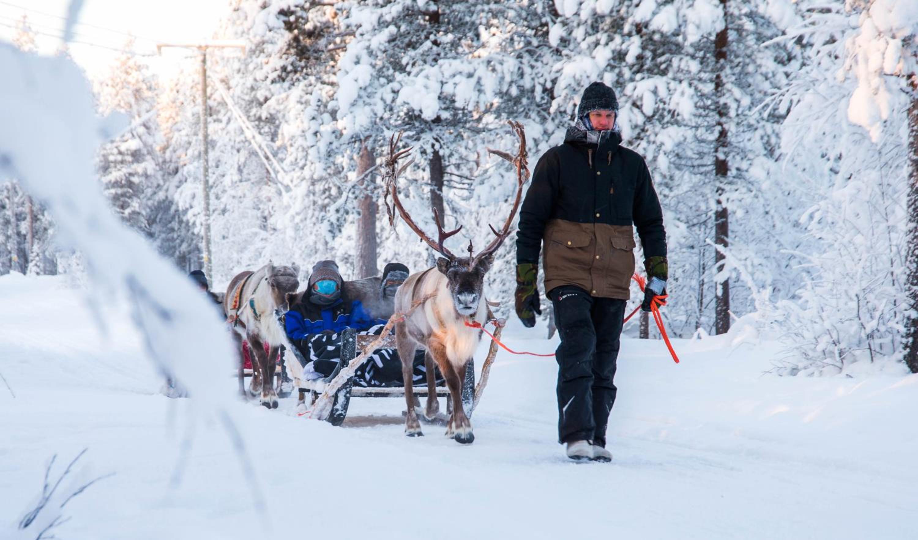 Aurora Village Ivalo