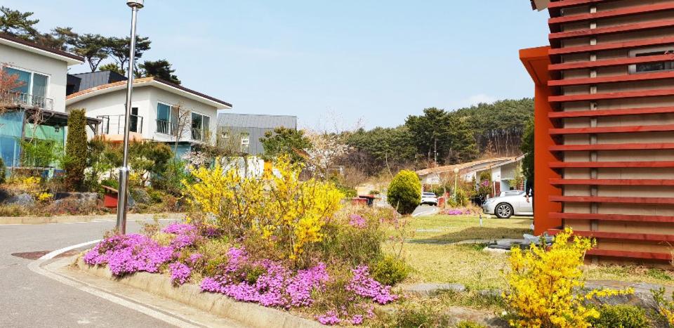 Daecheon Baroh Village view 5