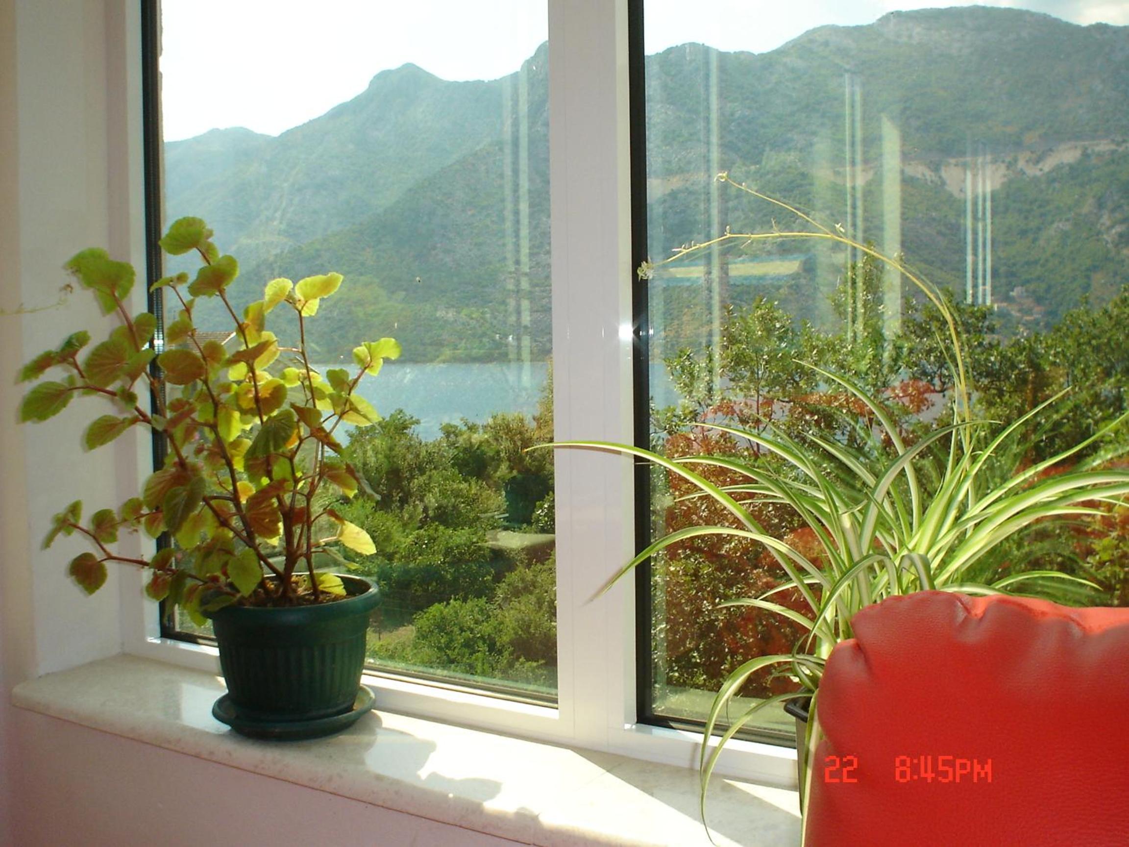 Apartments Risan view 4