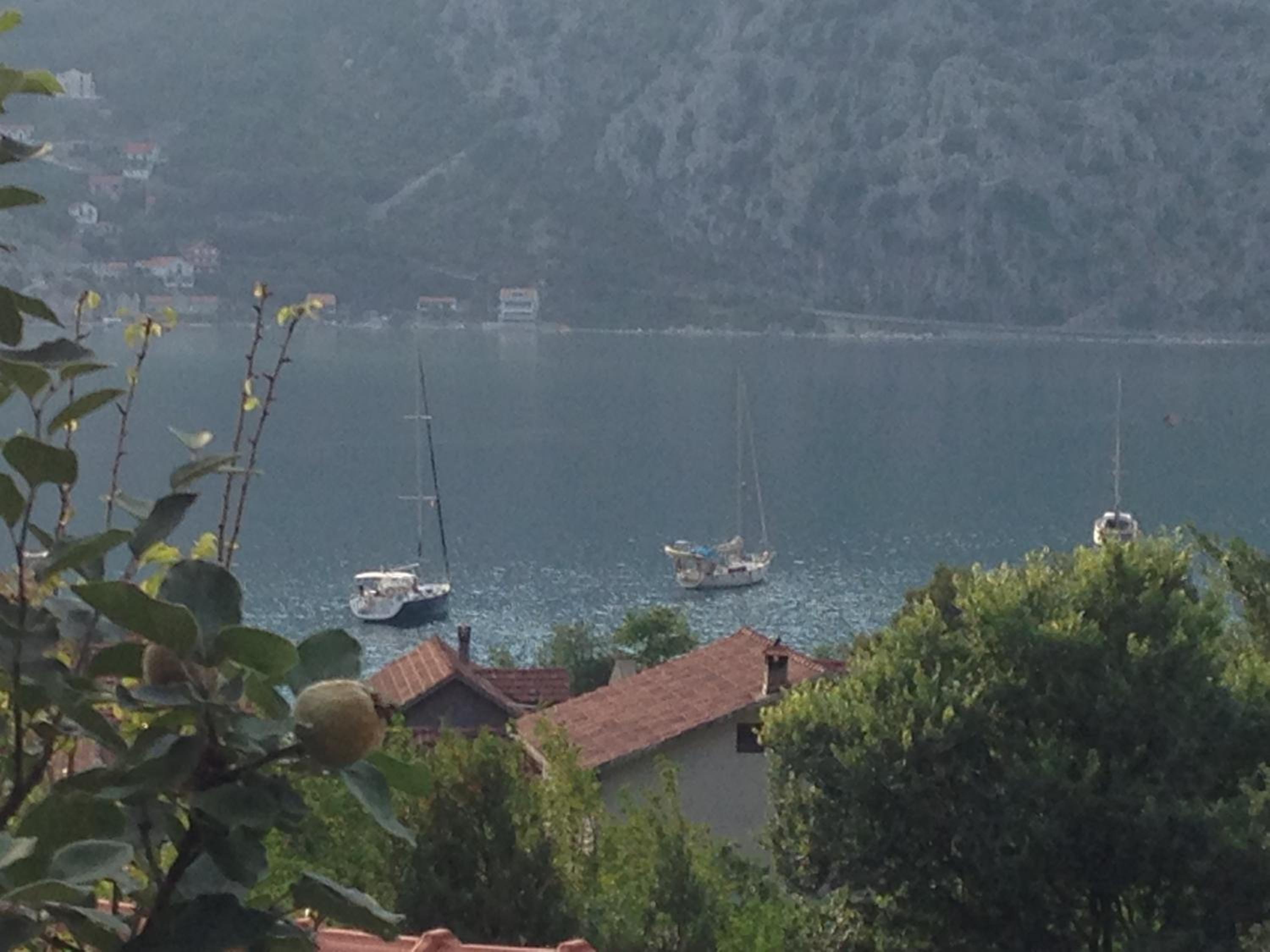Photo 31