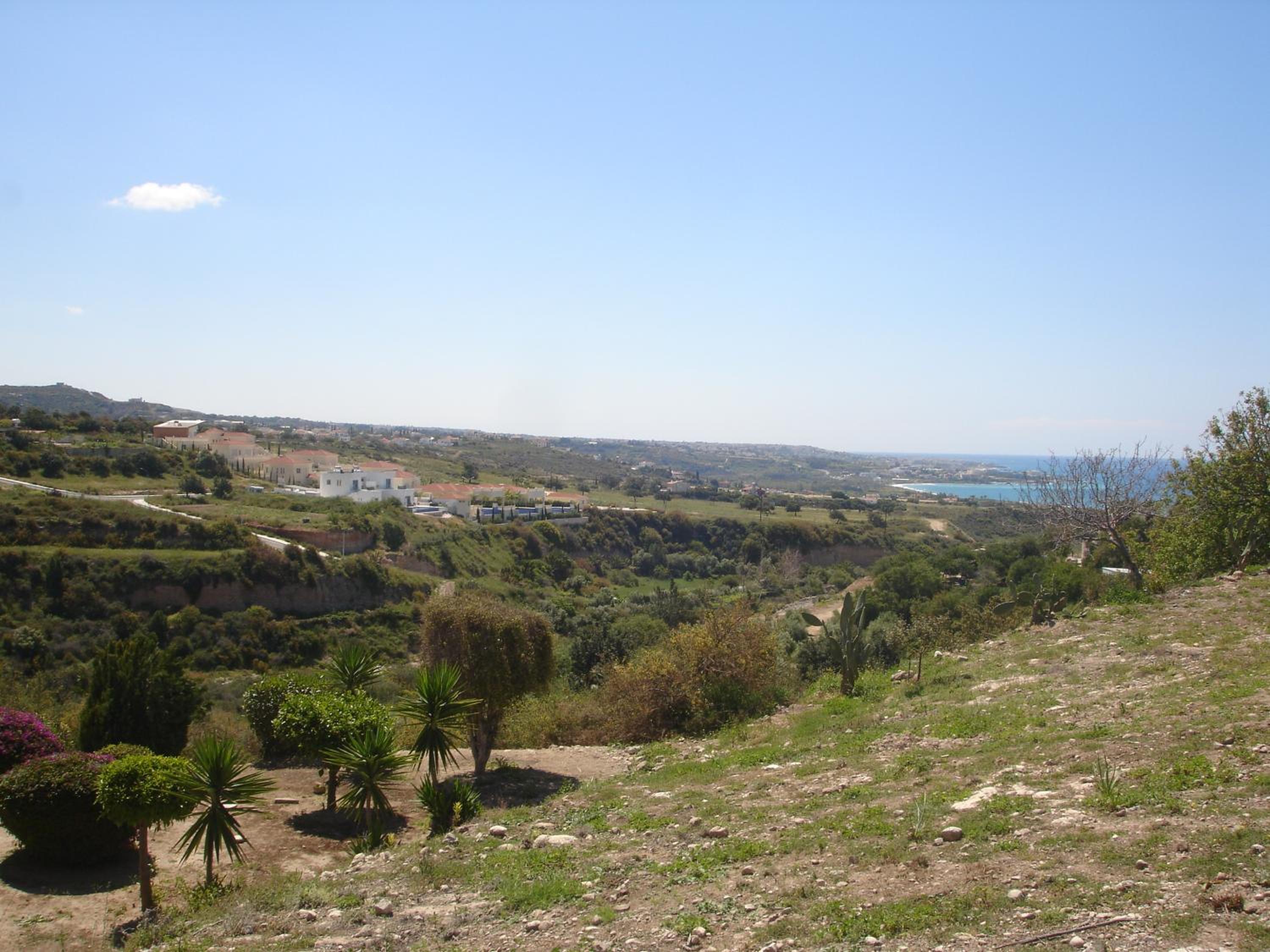 Photo 24