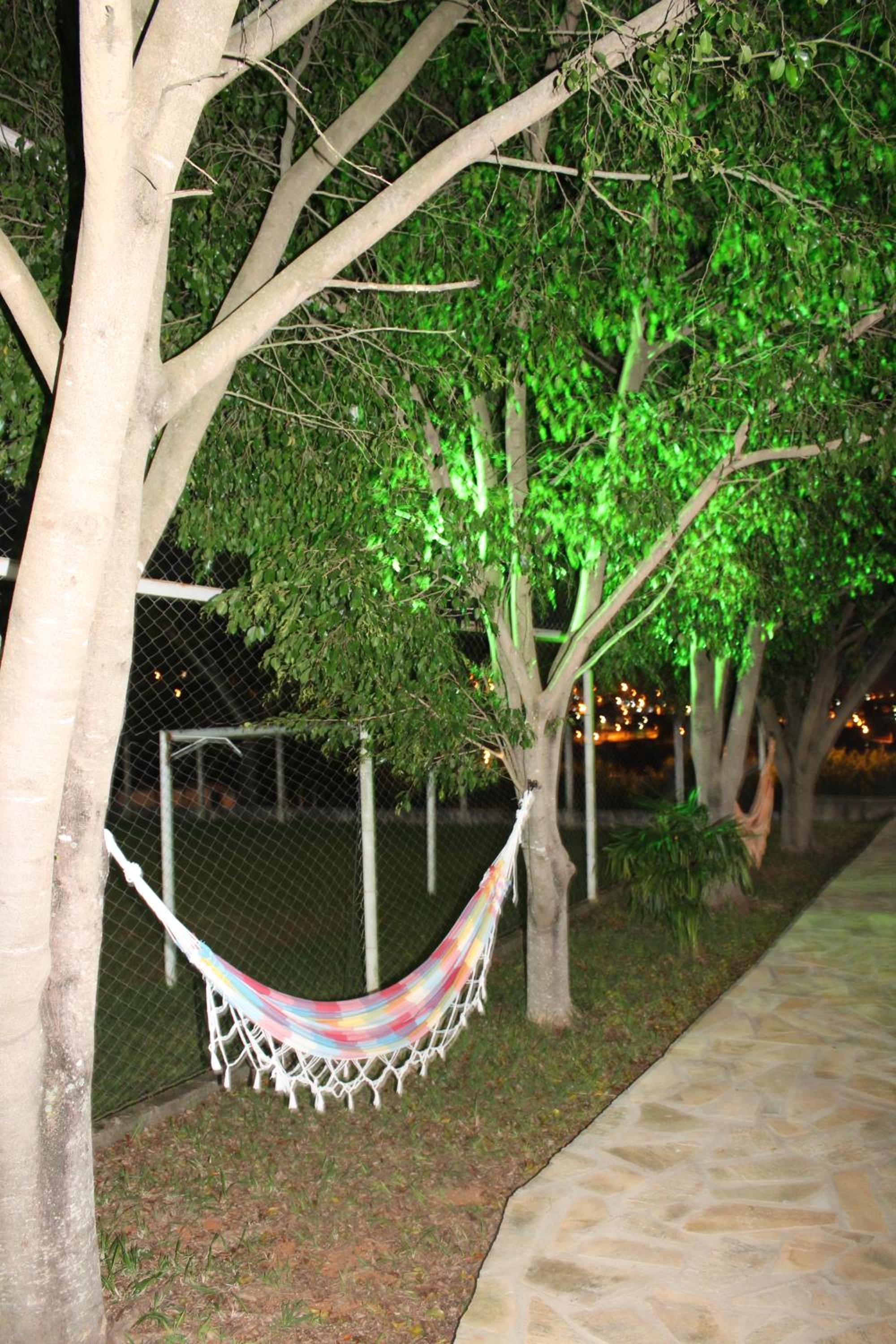 Photo 43
