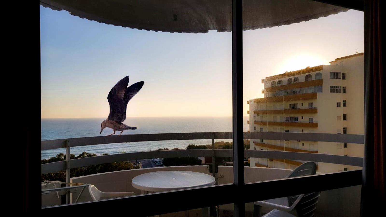 Ocean View by Encantos do Algarve - 910 view 5